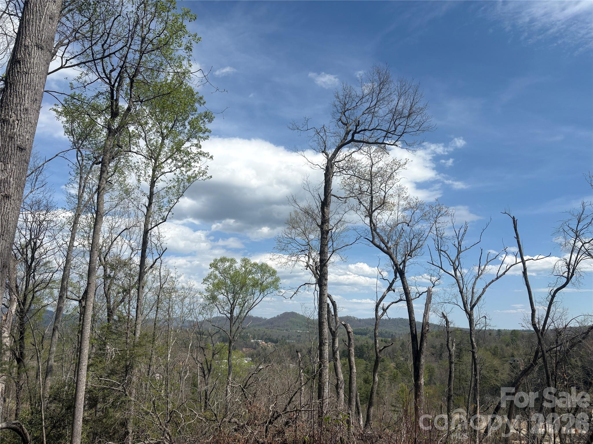 Tbd Swiss Pine Lake Drive 117 Property Photo 7