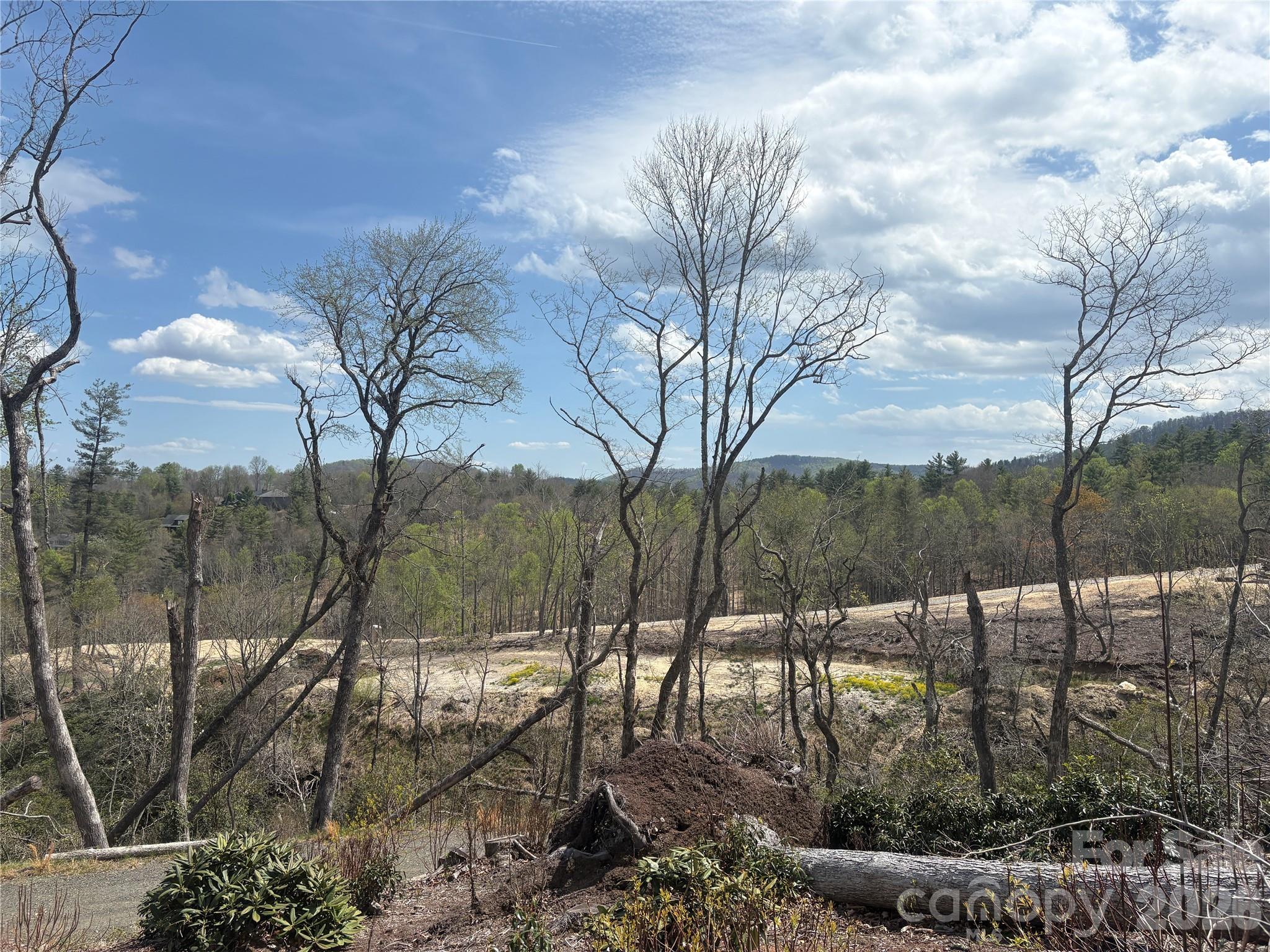 Tbd Swiss Pine Lake Drive 117 Property Photo 9