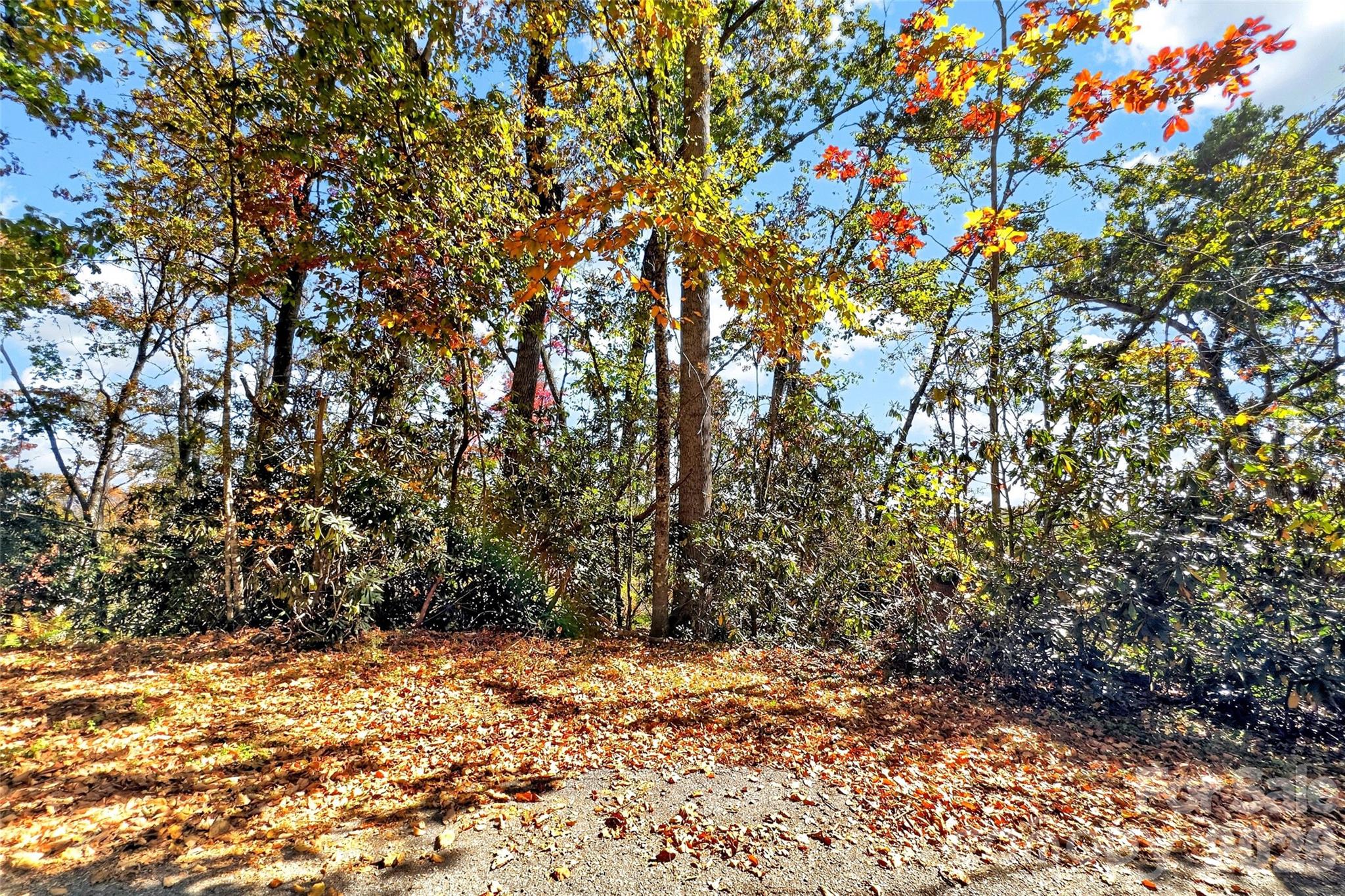 Tbd Swiss Pine Lake Drive 117 Property Photo 9
