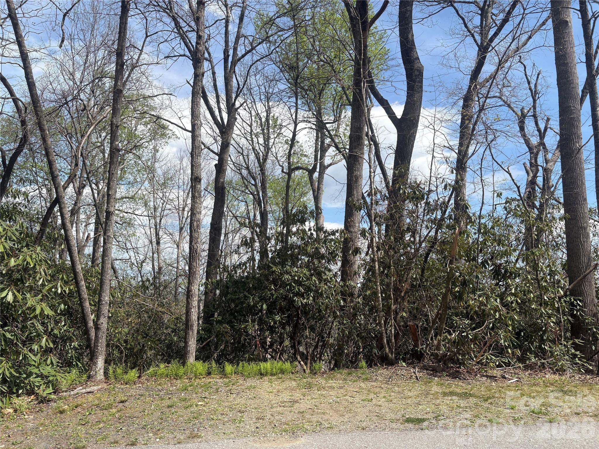 Tbd Swiss Pine Lake Drive 117 Property Photo 10