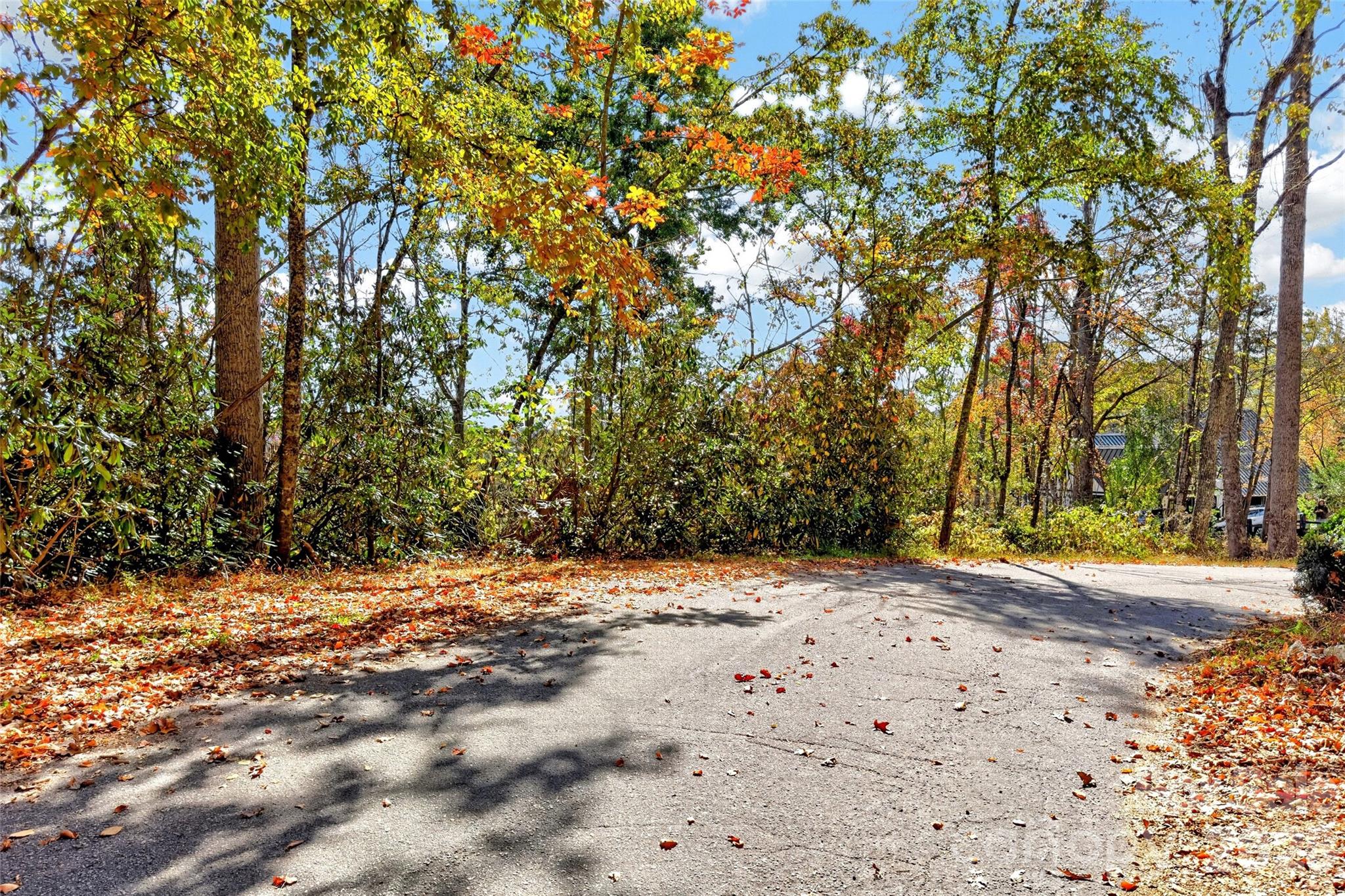 Tbd Swiss Pine Lake Drive 117 Property Photo 10