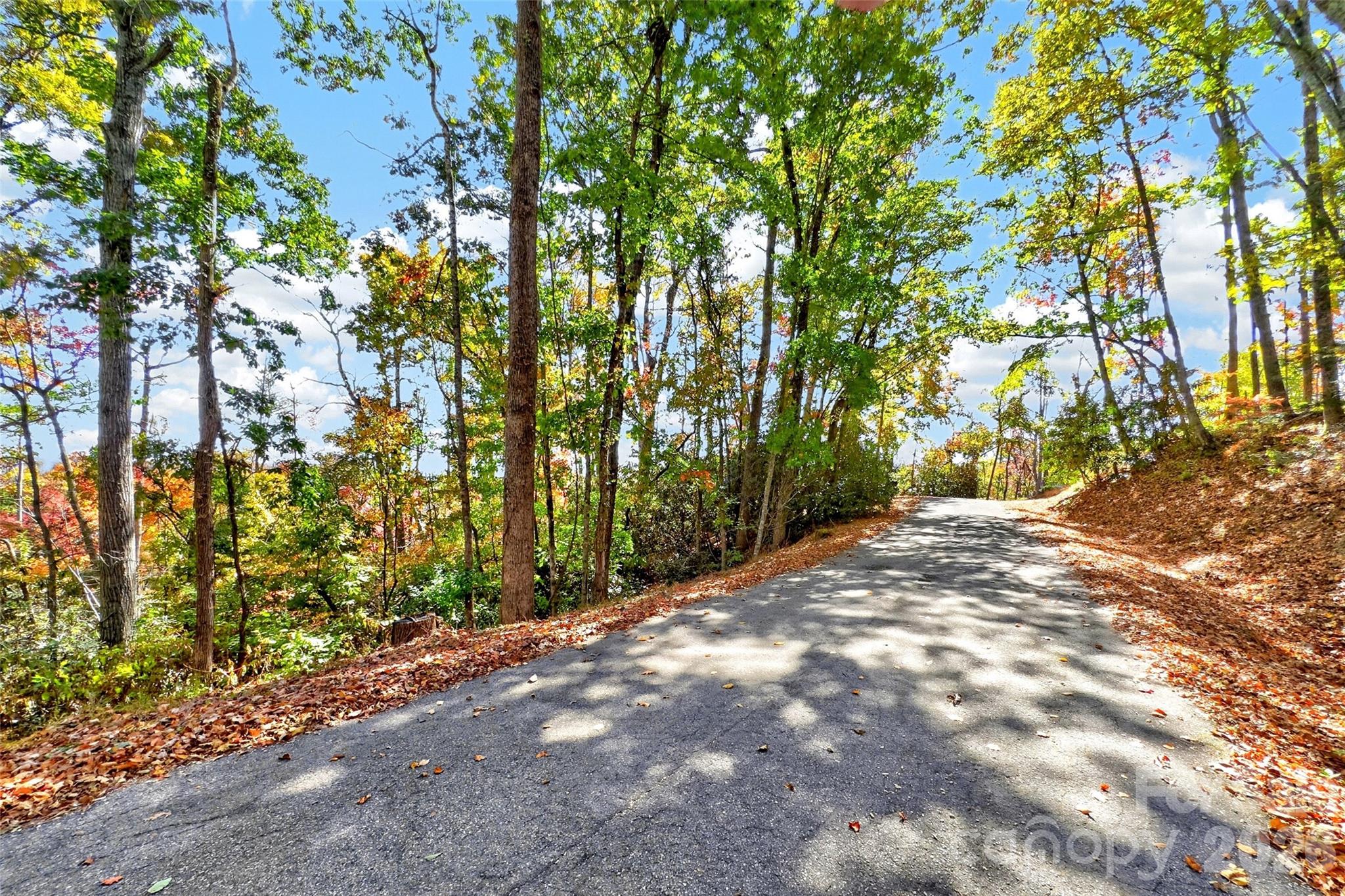 Tbd Swiss Pine Lake Drive 117 Property Photo 11