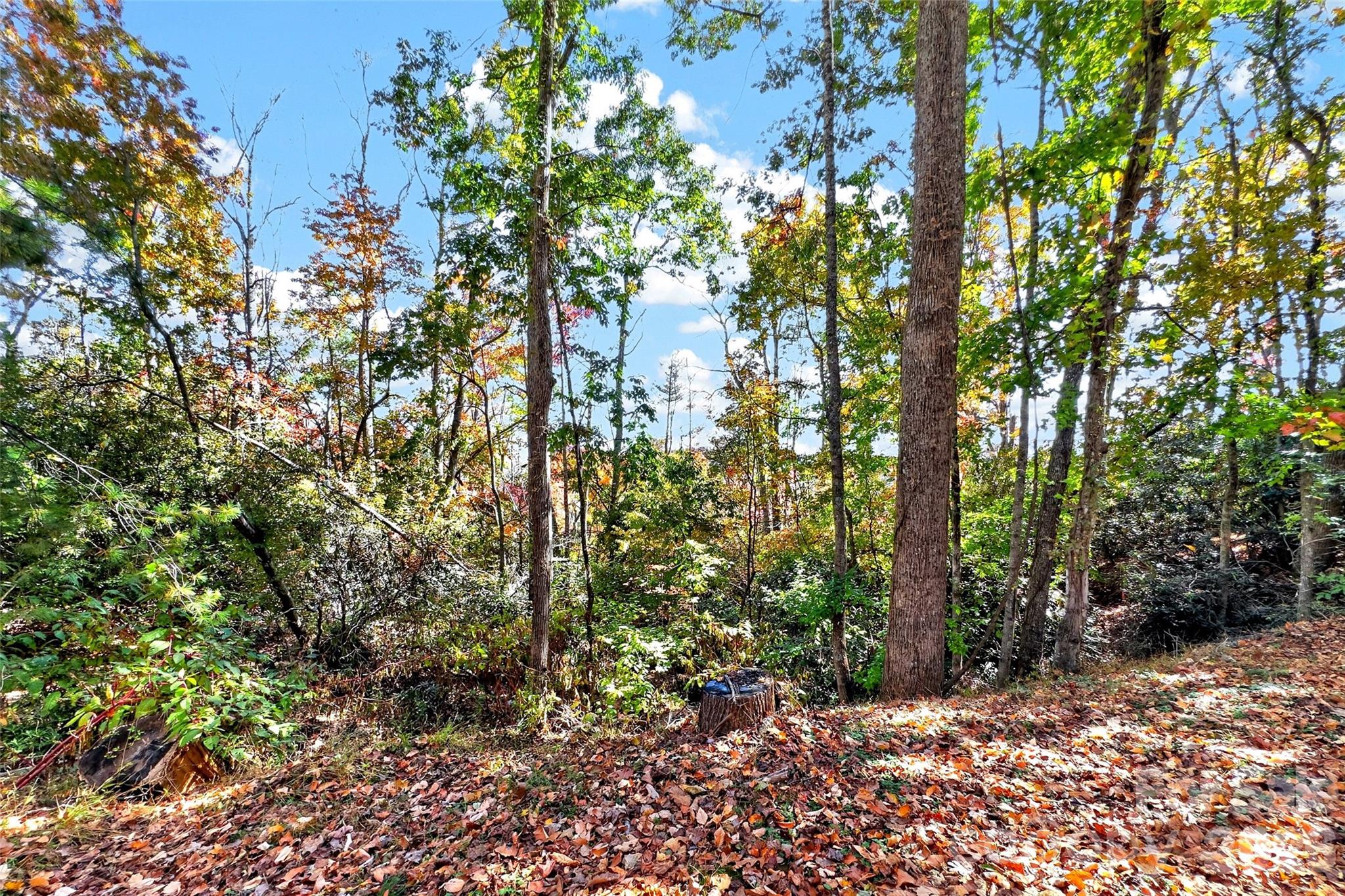 Tbd Swiss Pine Lake Drive 117 Property Photo 12
