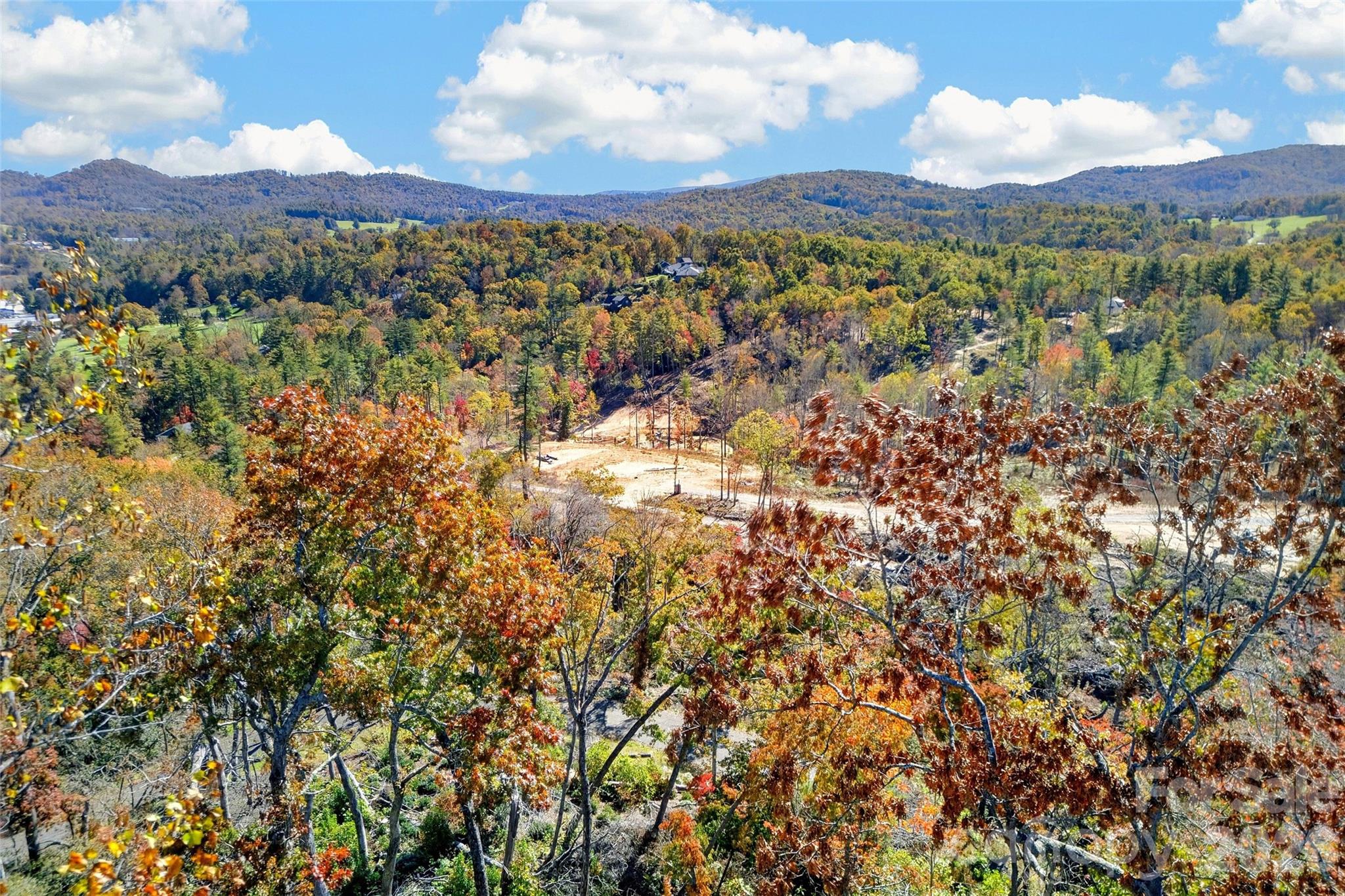 Tbd Swiss Pine Lake Drive 117 Property Photo 21