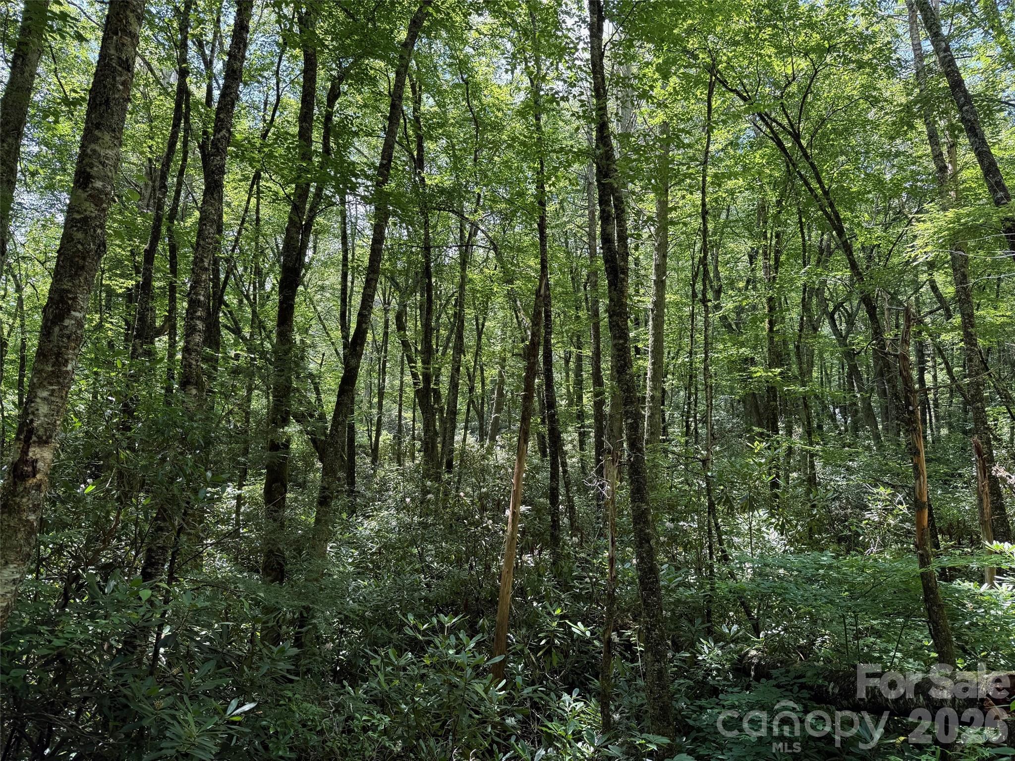 Lot #67 Spring Drive Property Photo 10