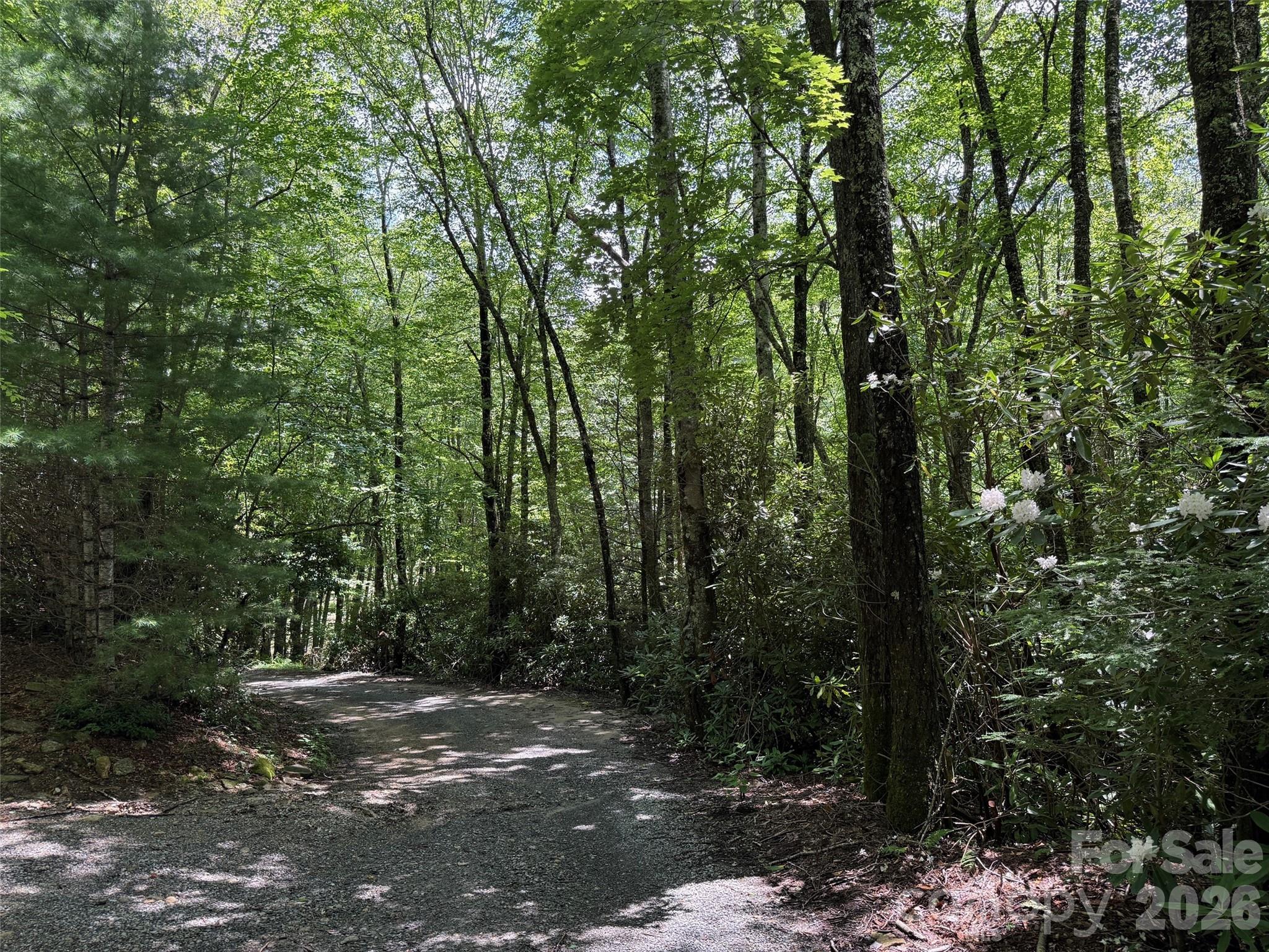 Lot #60 Yonder Trail Property Photo 4