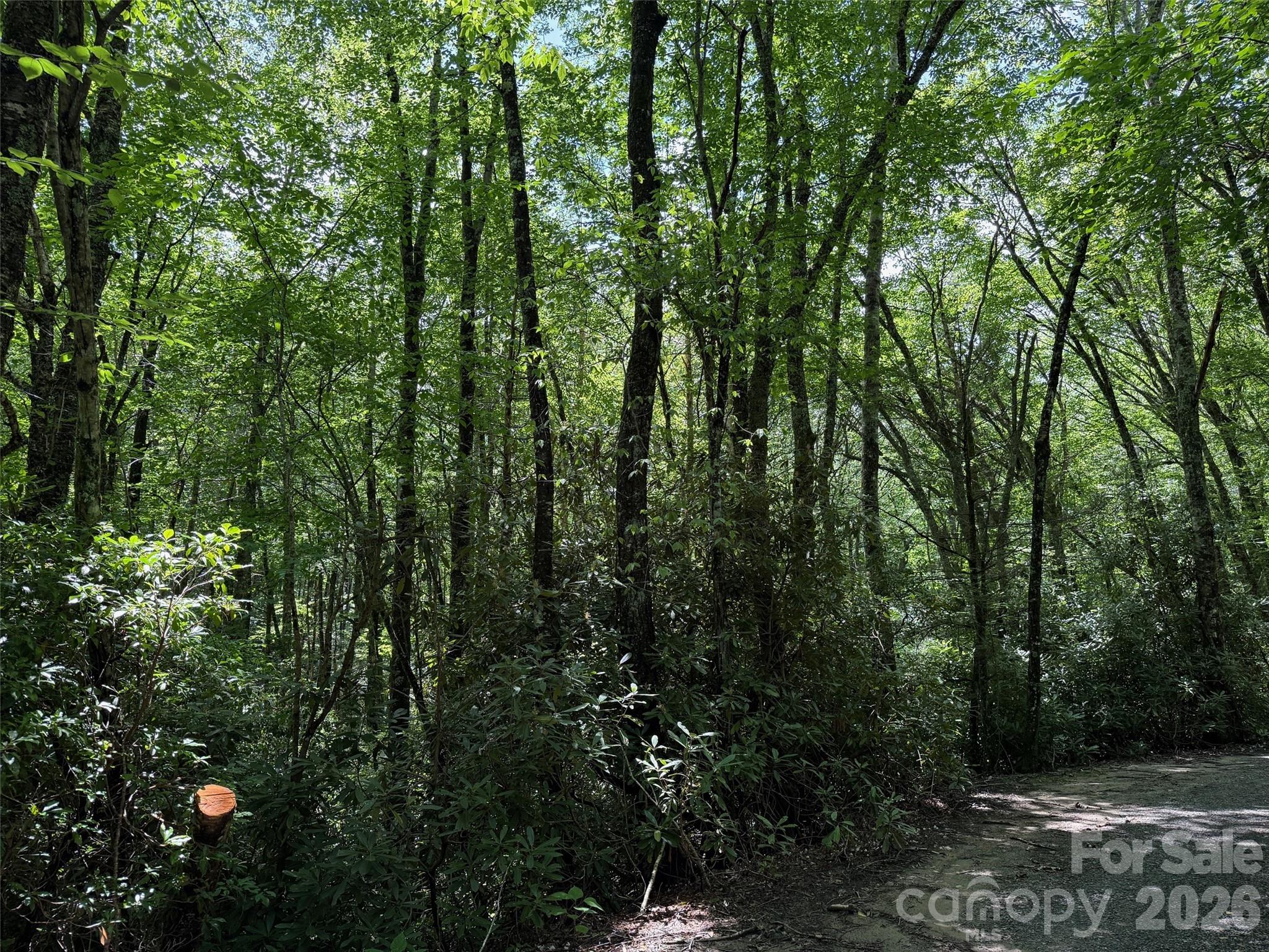 Lot #60 Yonder Trail Property Photo 10