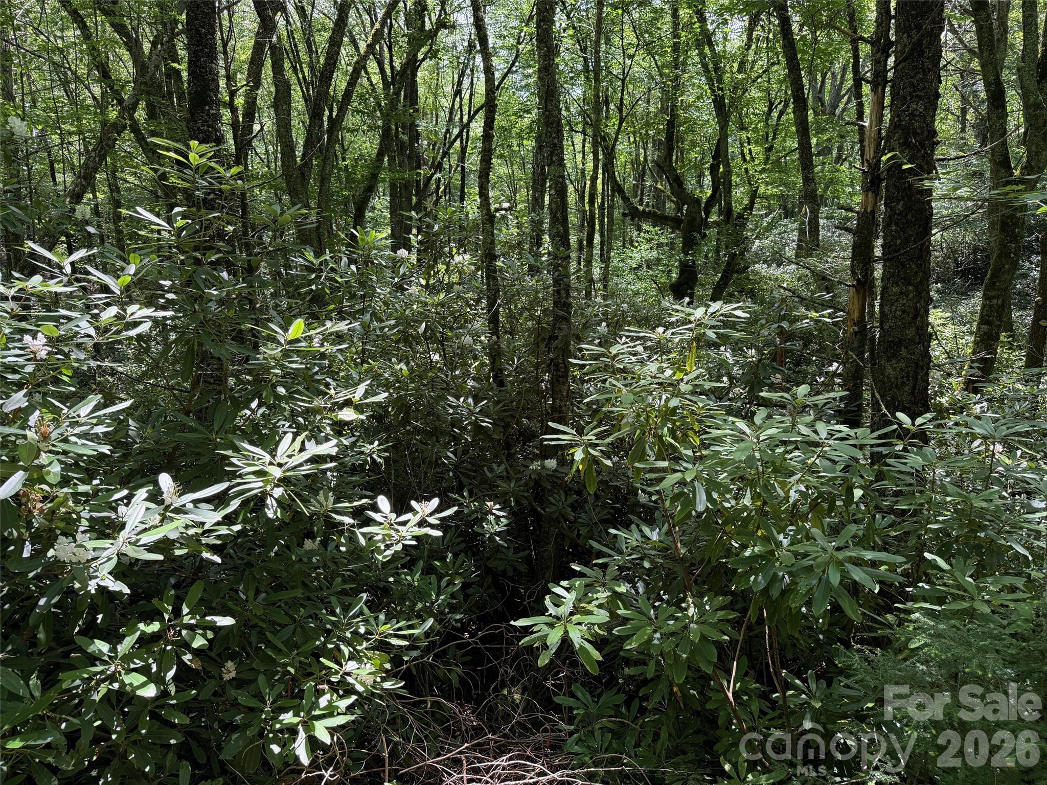 Lot #60 Yonder Trail Property Photo 11