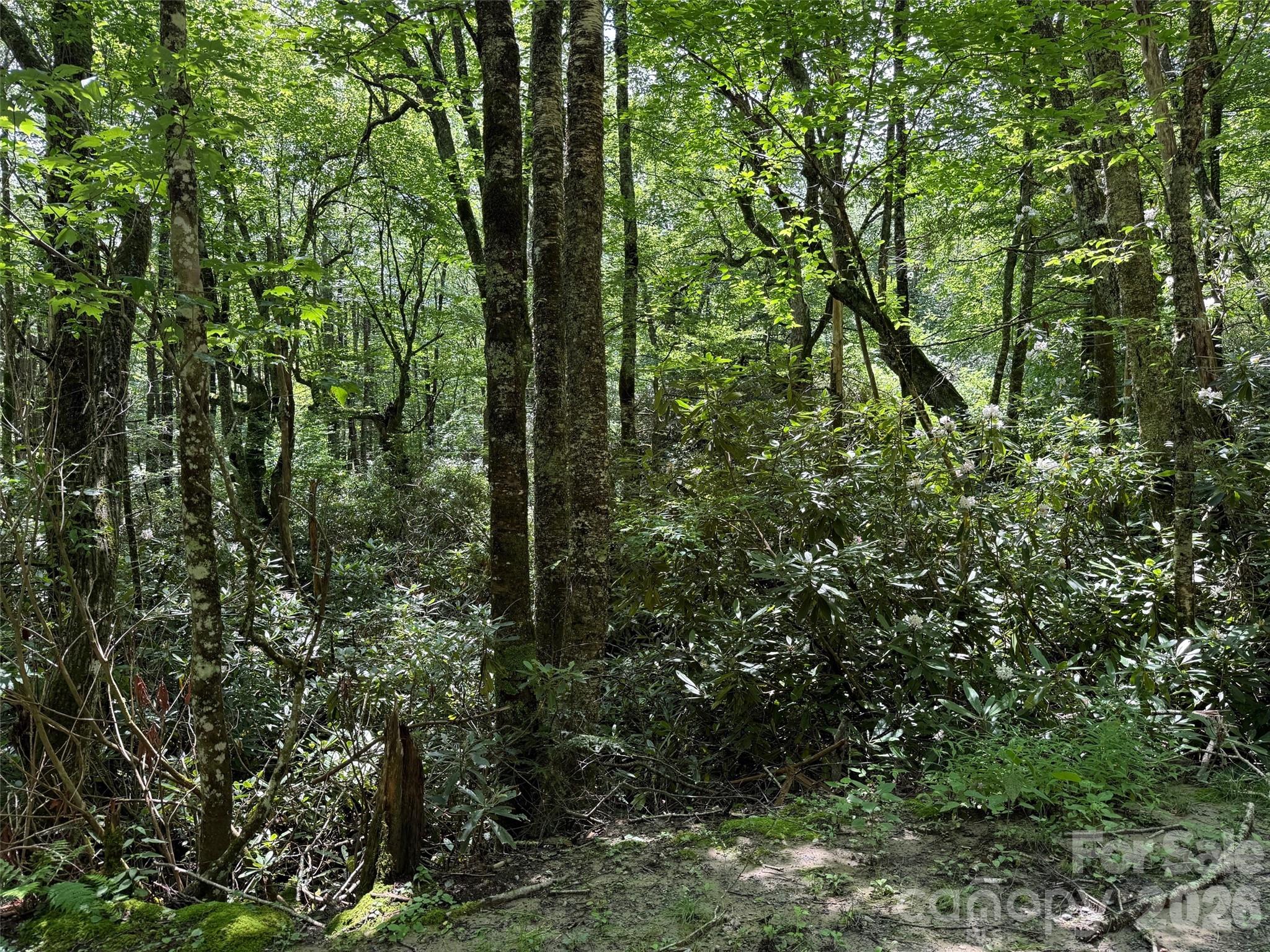 Lot #60 Yonder Trail Property Photo 14