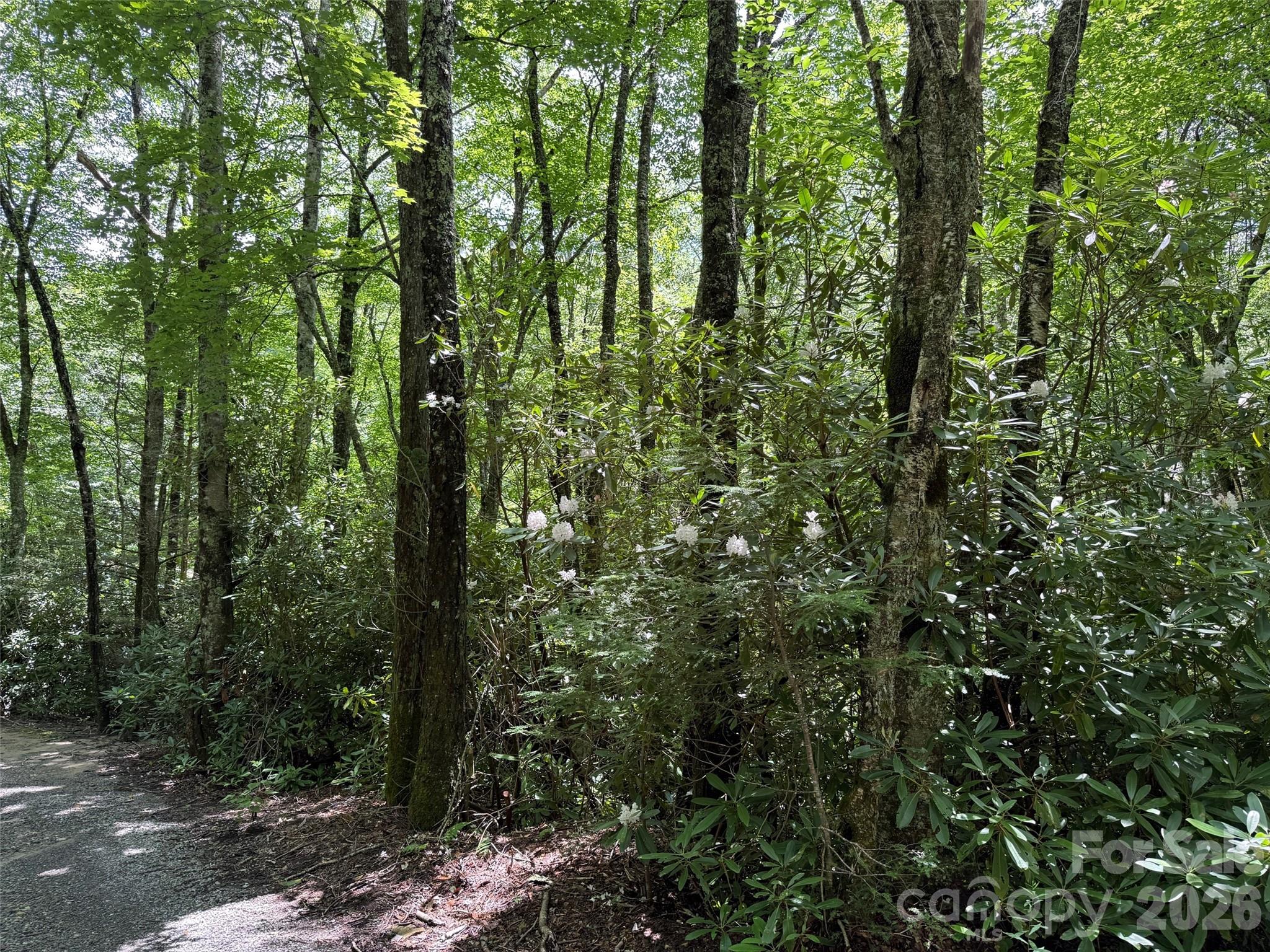 Lot #60 Yonder Trail Property Photo 16