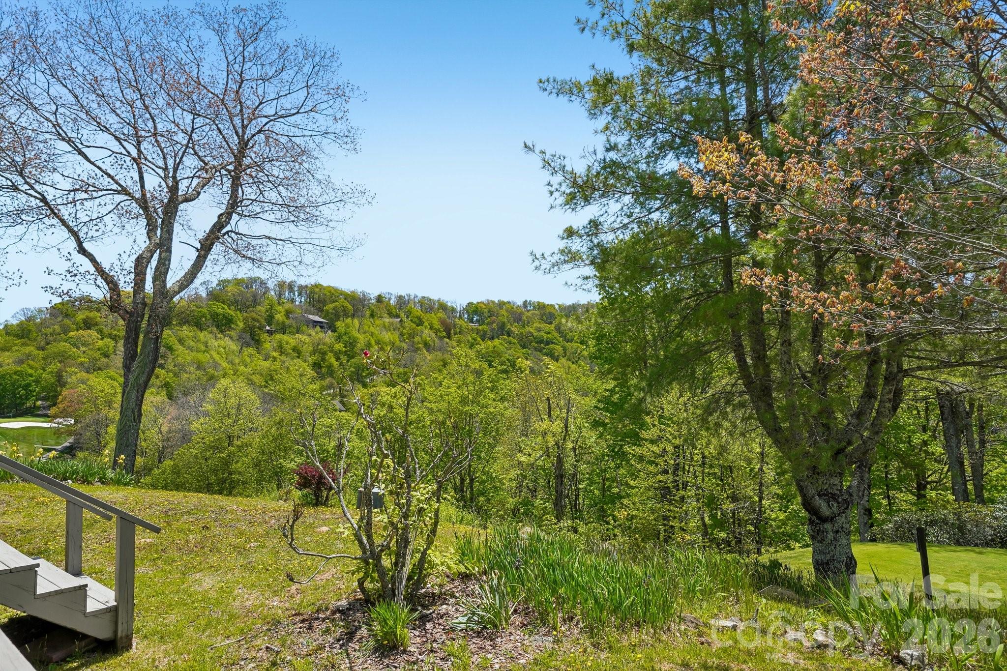 302 Eagles Nest Court Property Photo 26