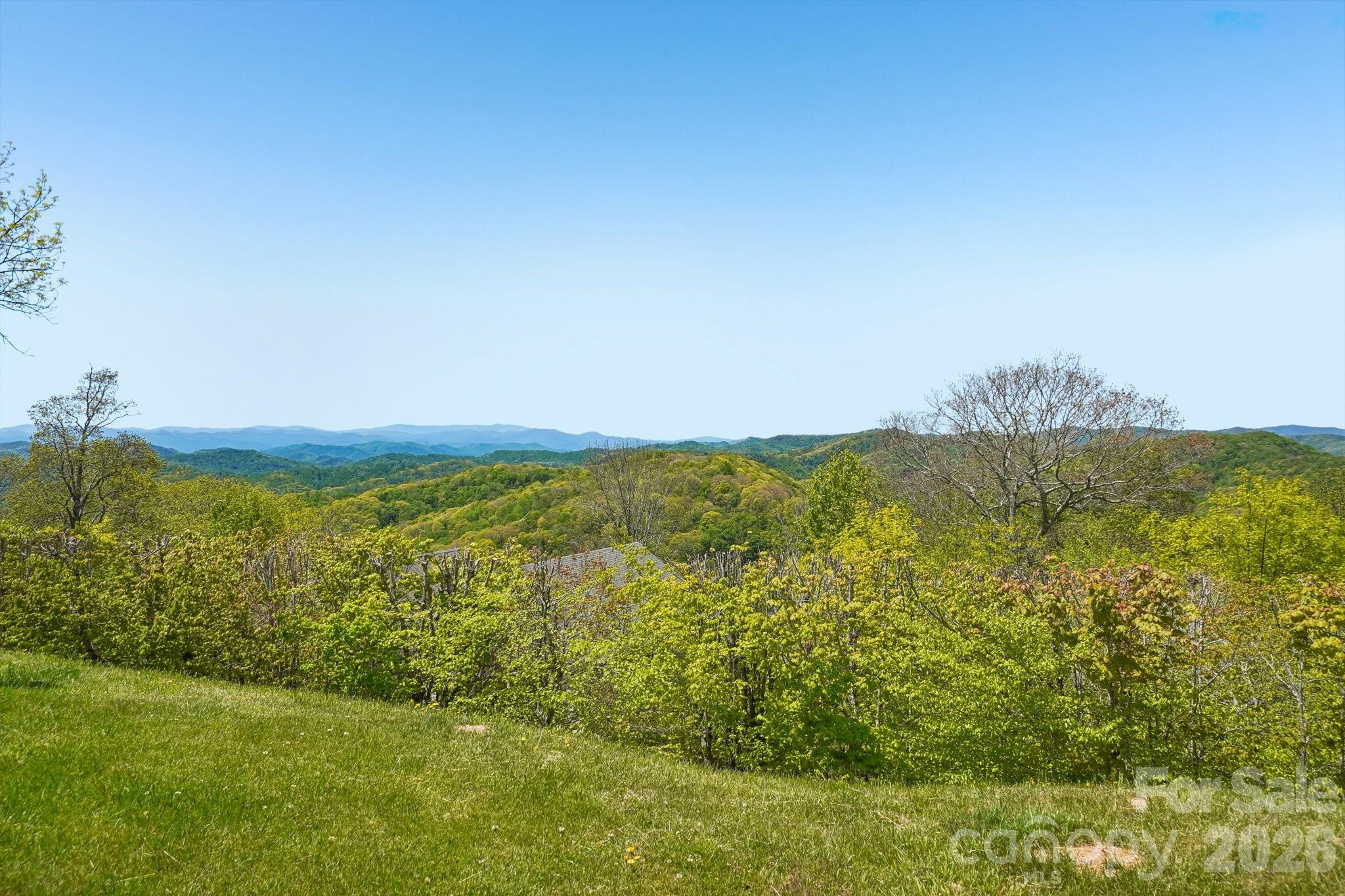 302 Eagles Nest Court Property Photo 28