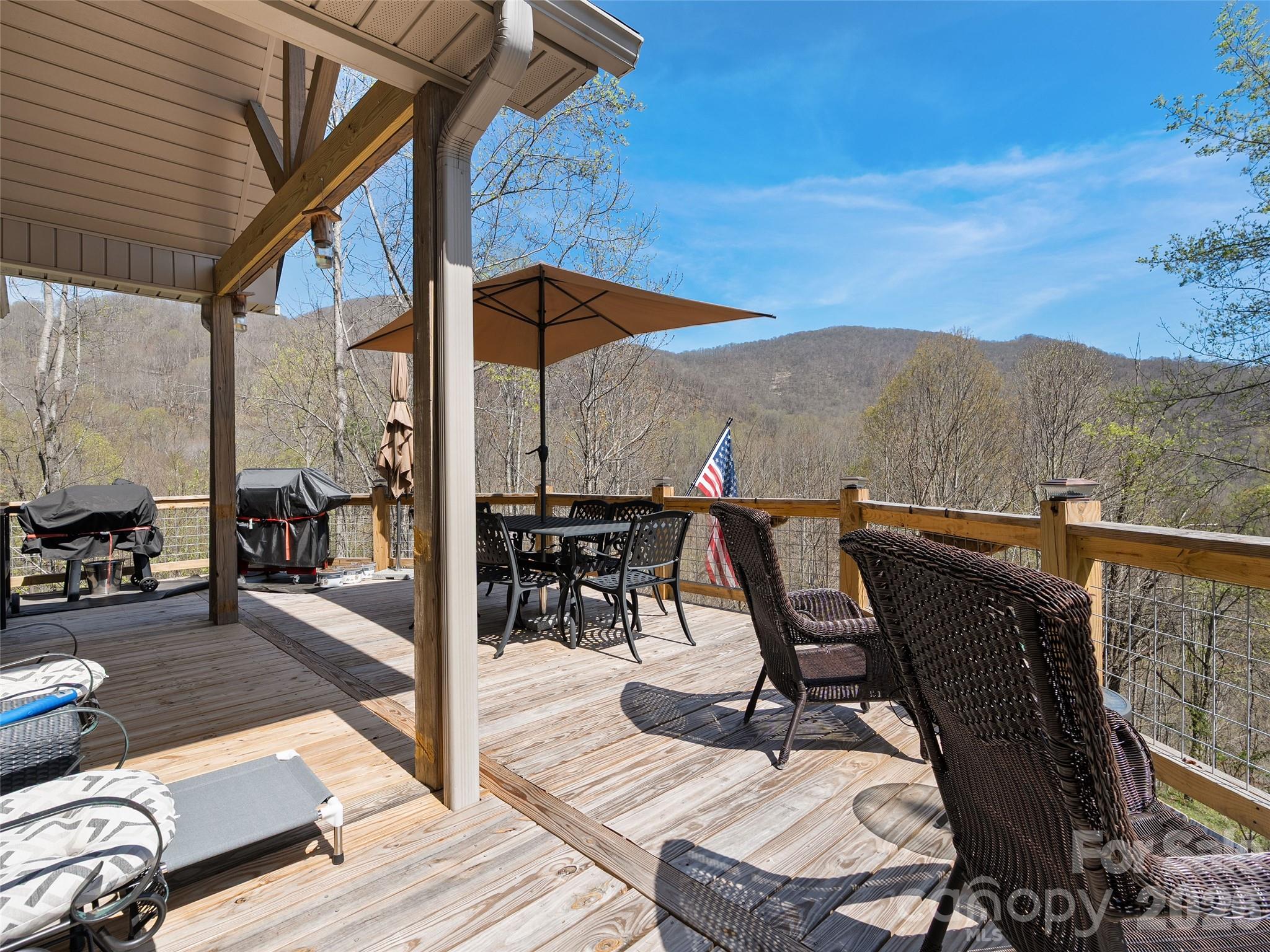4823 Max Patch Road Property Photo 13