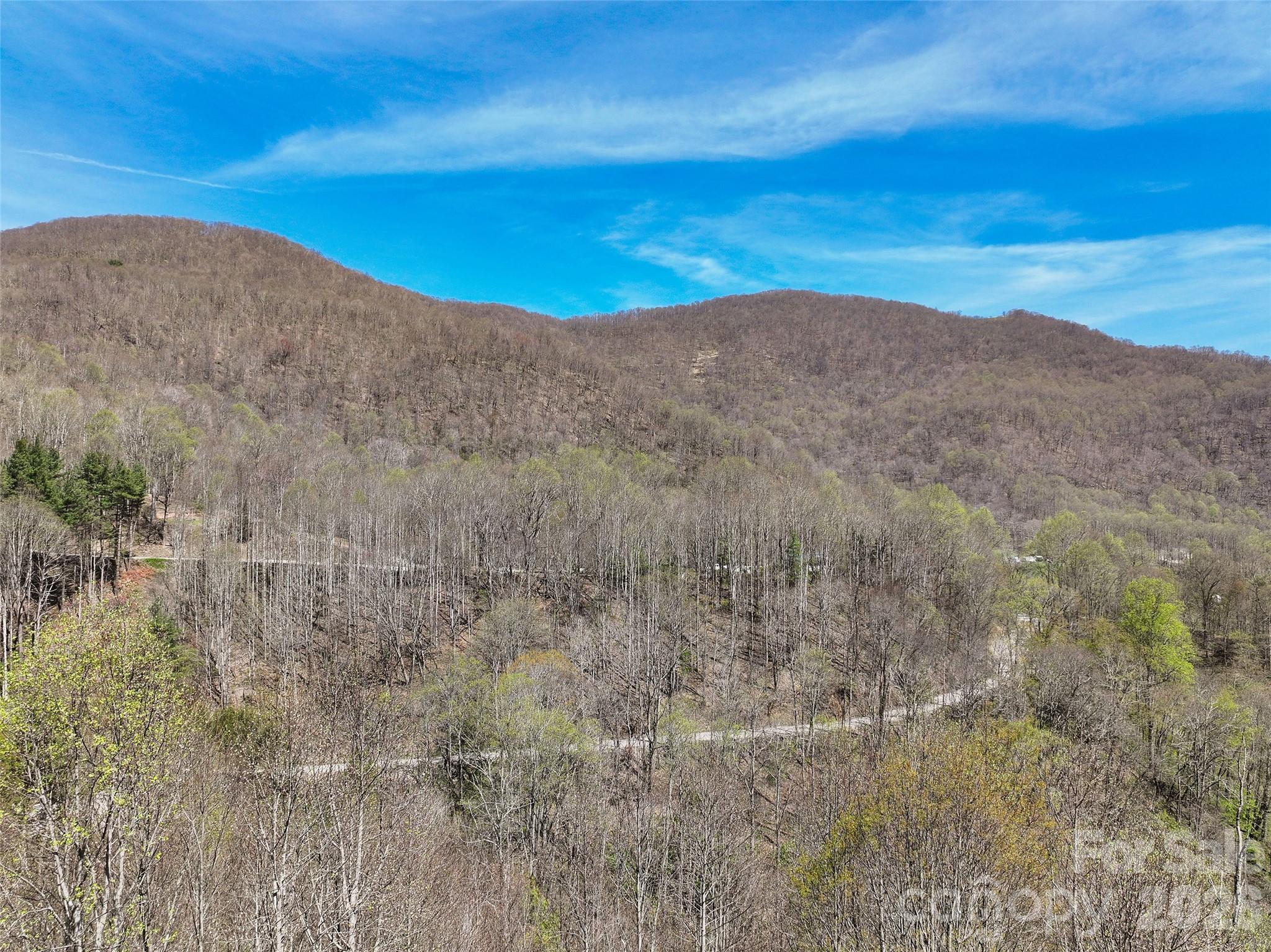4823 Max Patch Road Property Photo 14