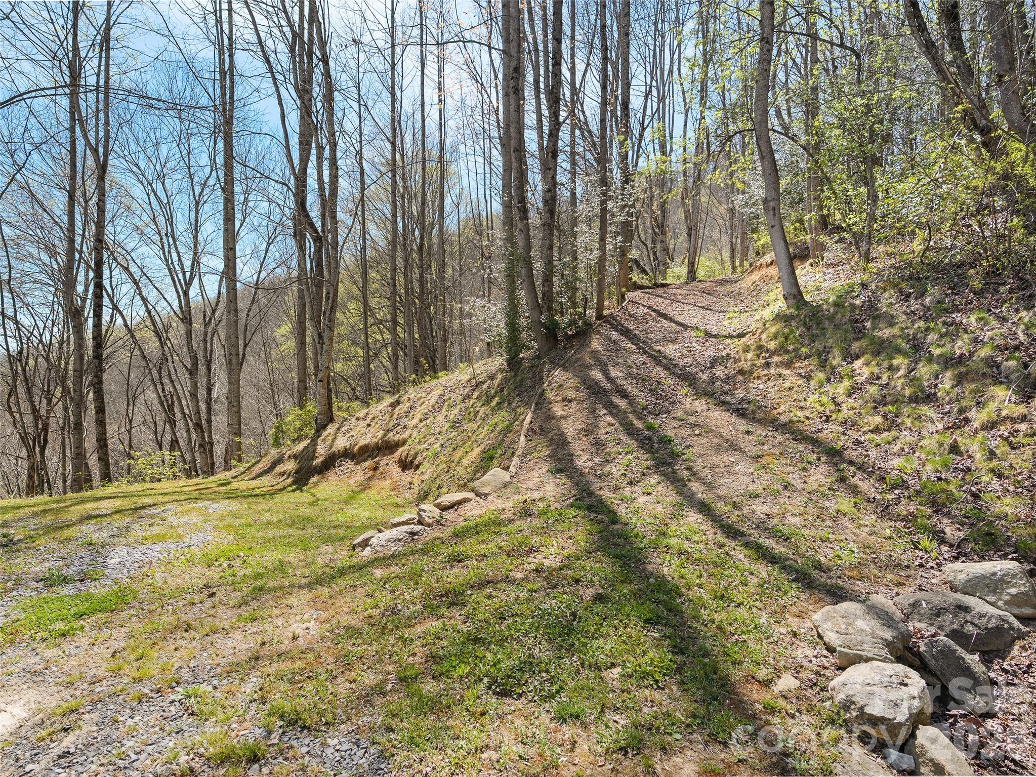4823 Max Patch Road Property Photo 31