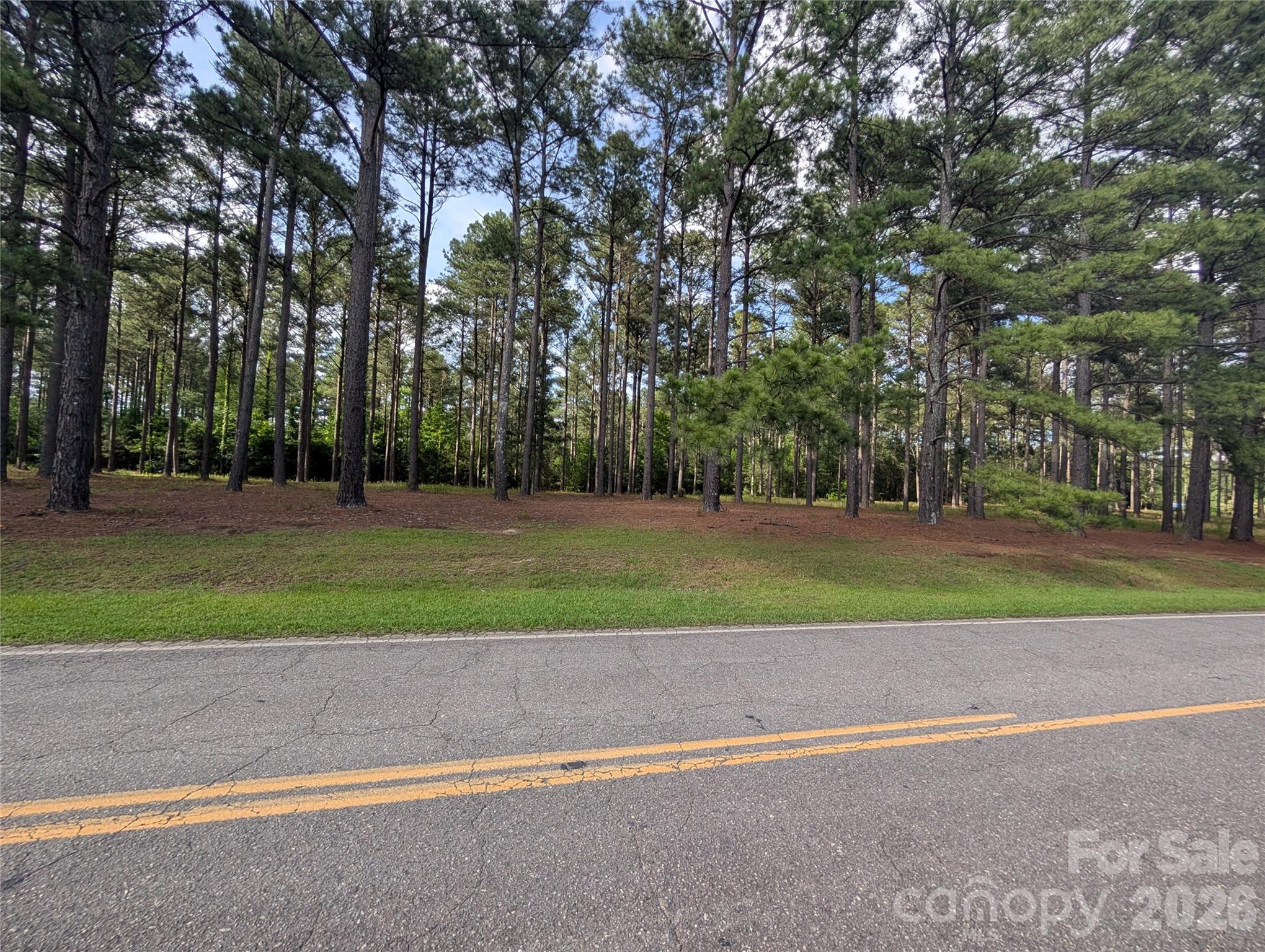 0000 Blessed Hope Road 4 Property Photo 2