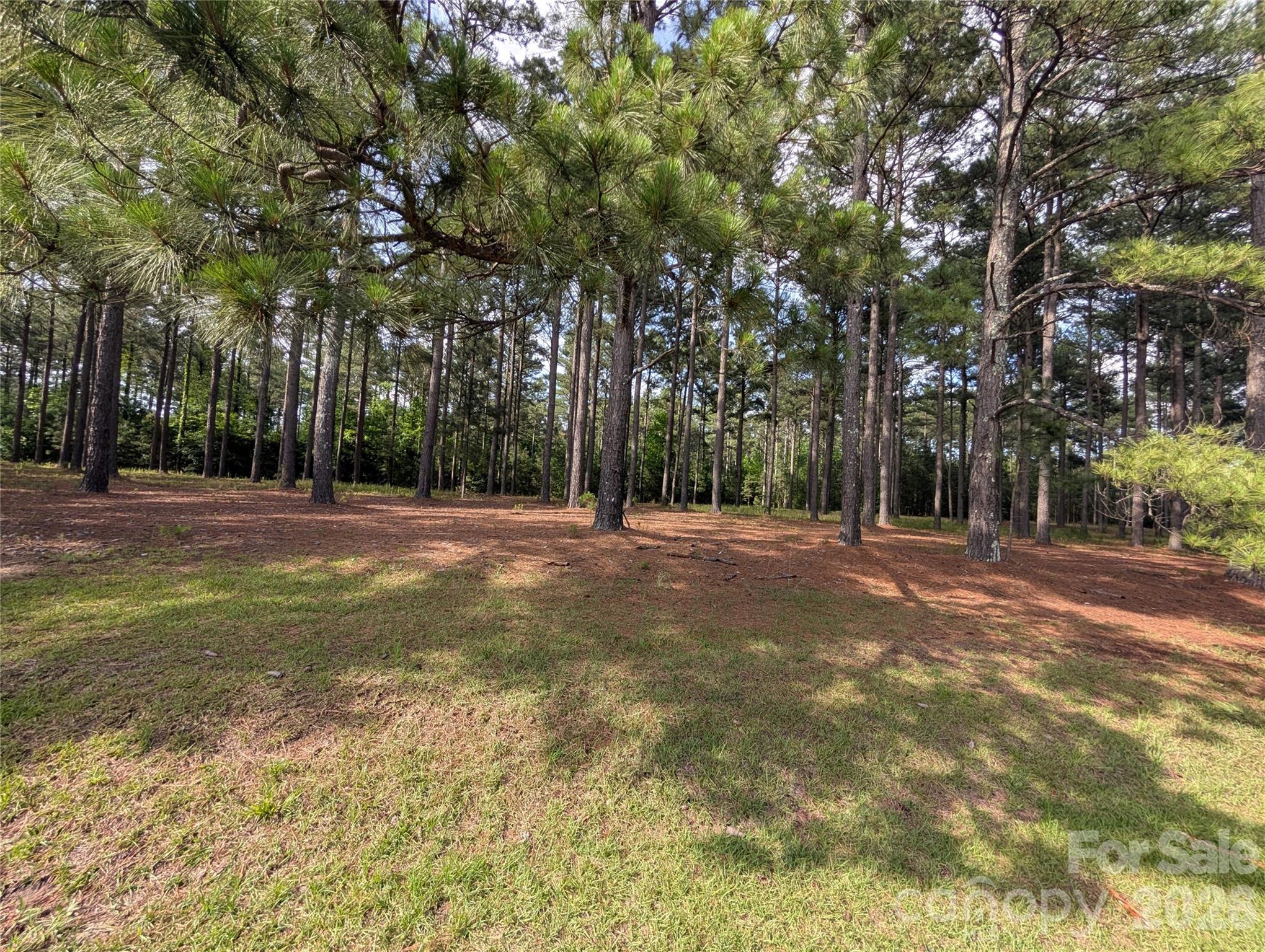 0000 Blessed Hope Road 4 Property Photo 3