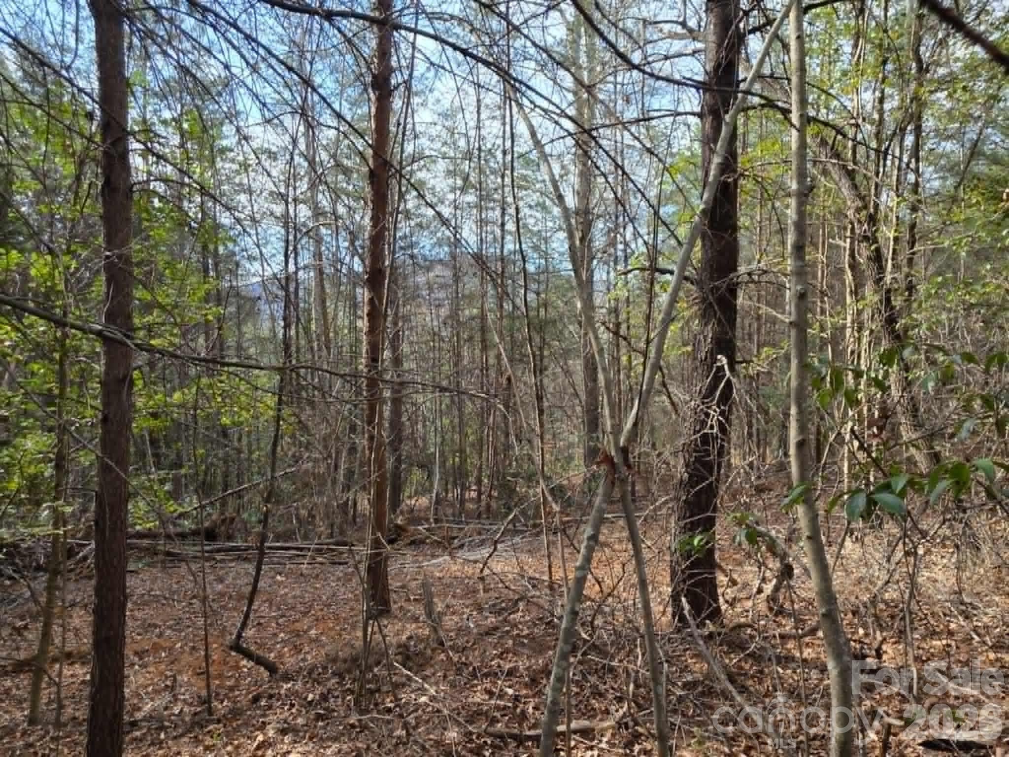 Lot 6 Kerlee Lane Property Photo 1