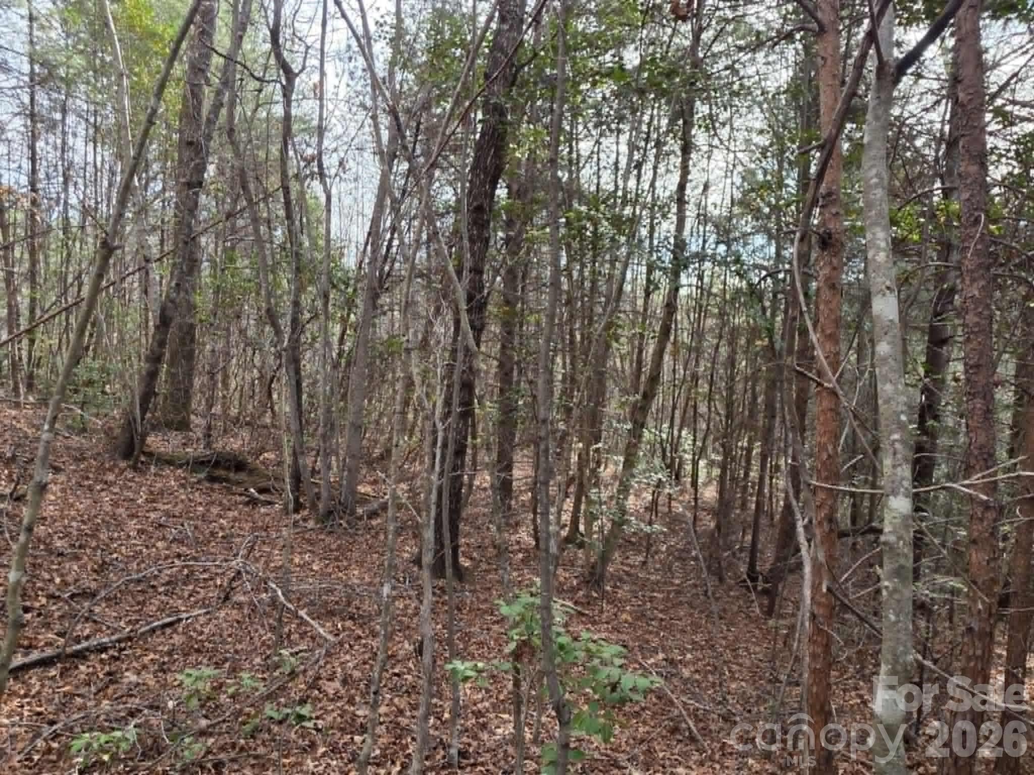 Lot 6 Kerlee Lane Property Photo 2