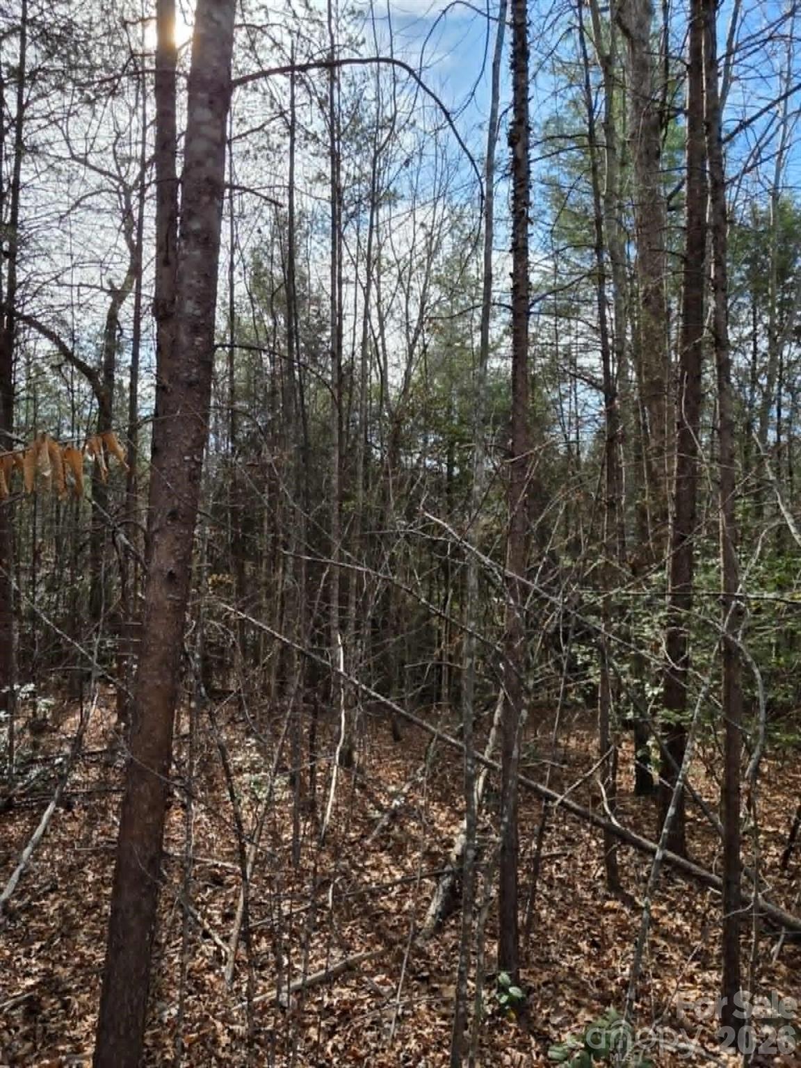 Lot 6 Kerlee Lane Property Photo 3