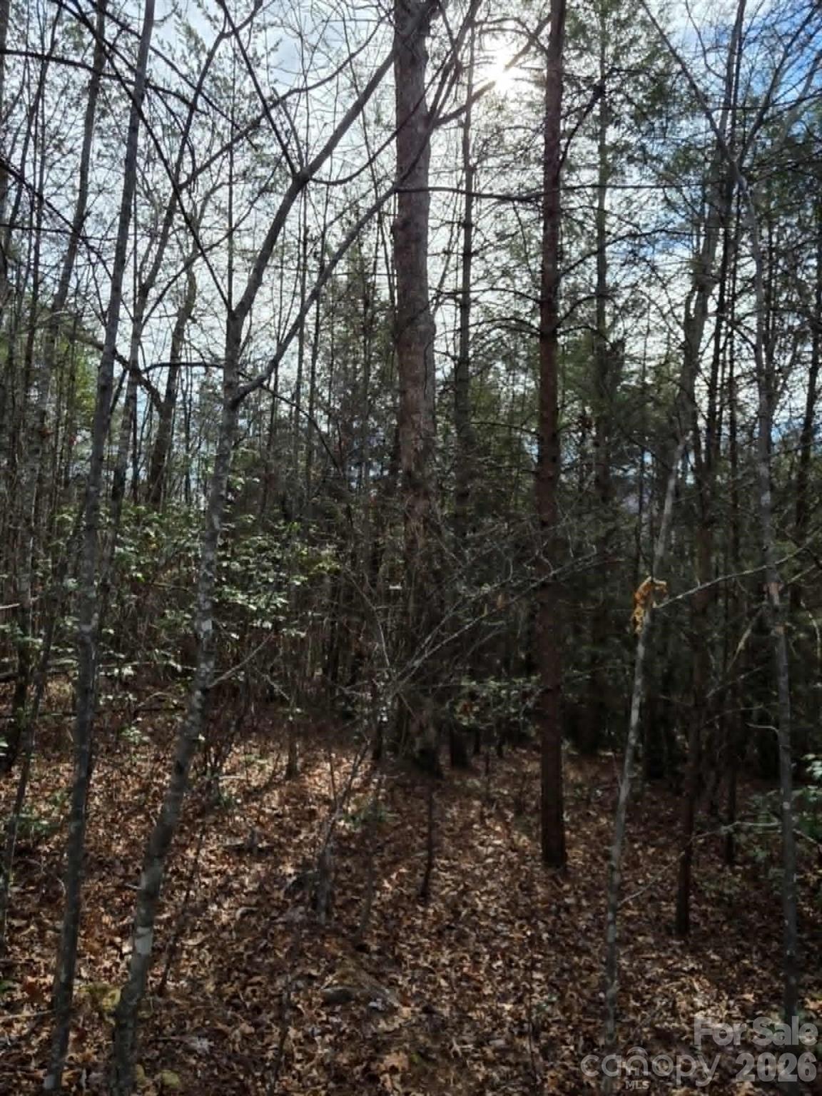 Lot 6 Kerlee Lane Property Photo 4