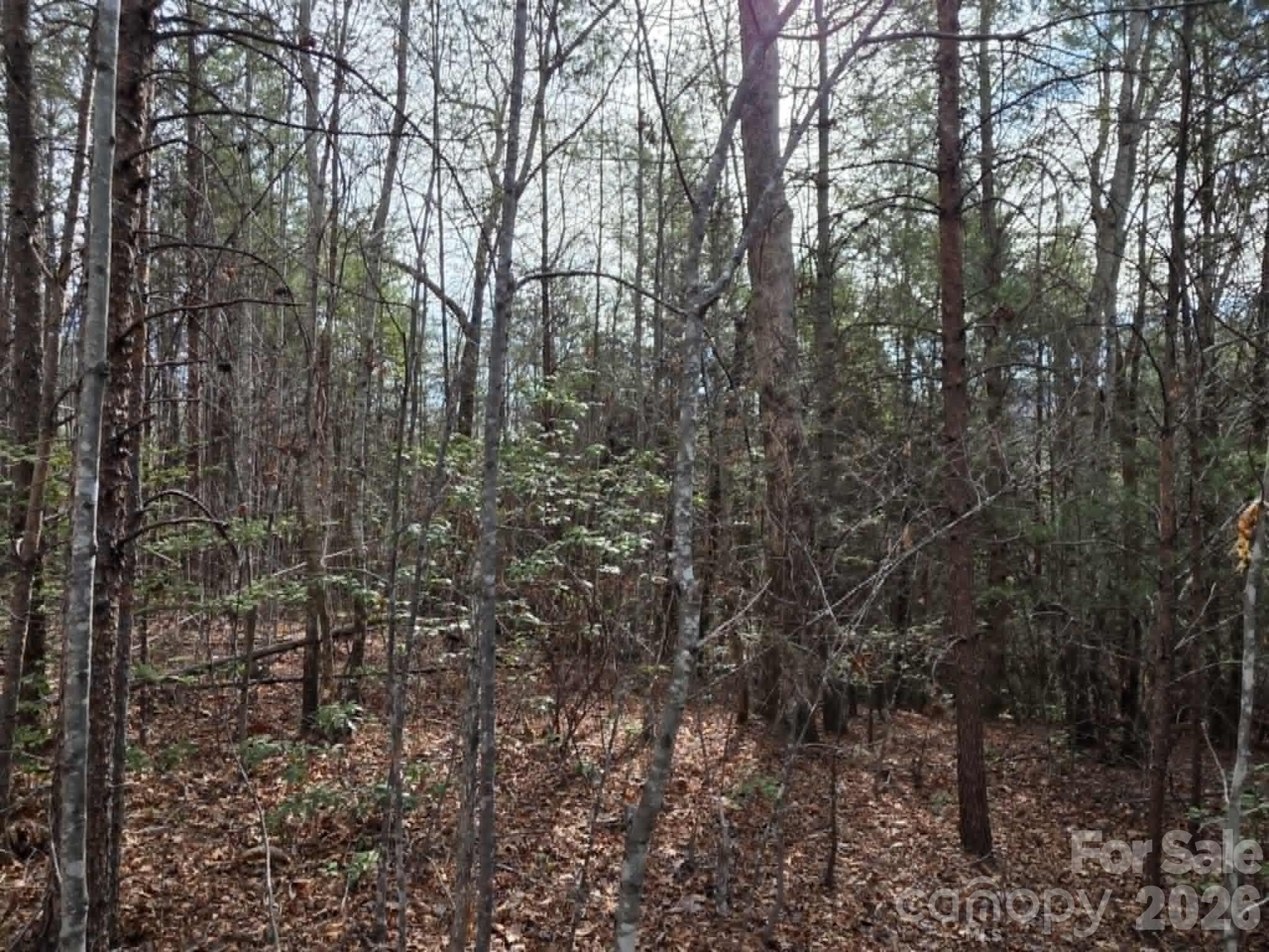 Lot 6 Kerlee Lane Property Photo 5
