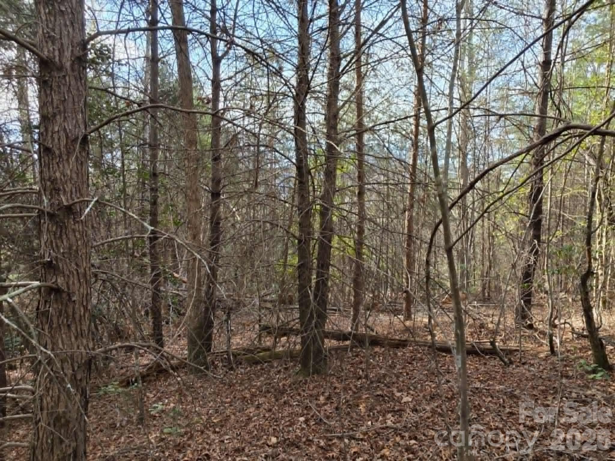 Lot 6 Kerlee Lane Property Photo 6