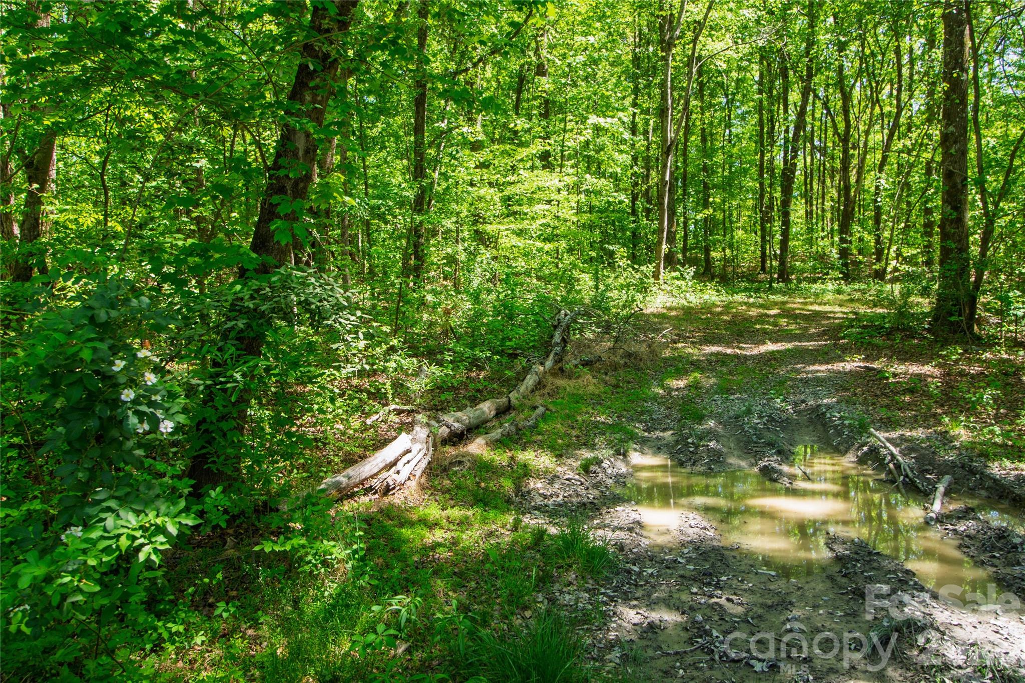 N/a Mill Creek Road Property Photo 12