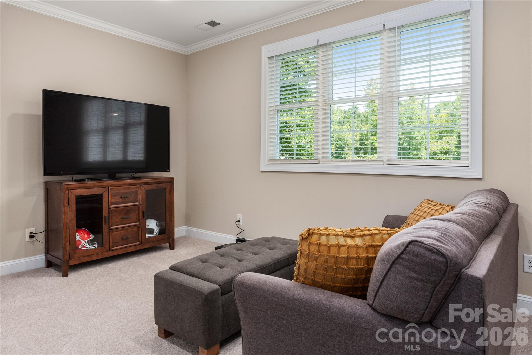 859 Irish Creek Drive Property Photo 28