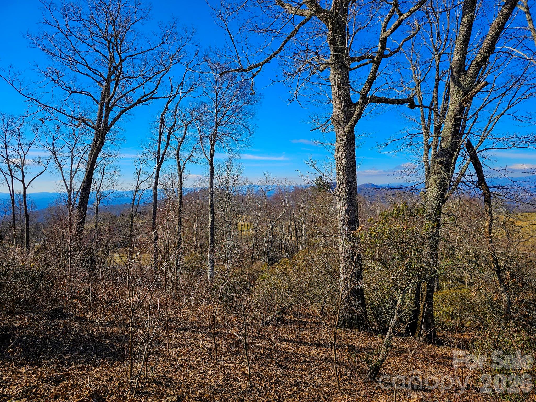 214 Summerset Drive Property Photo 6