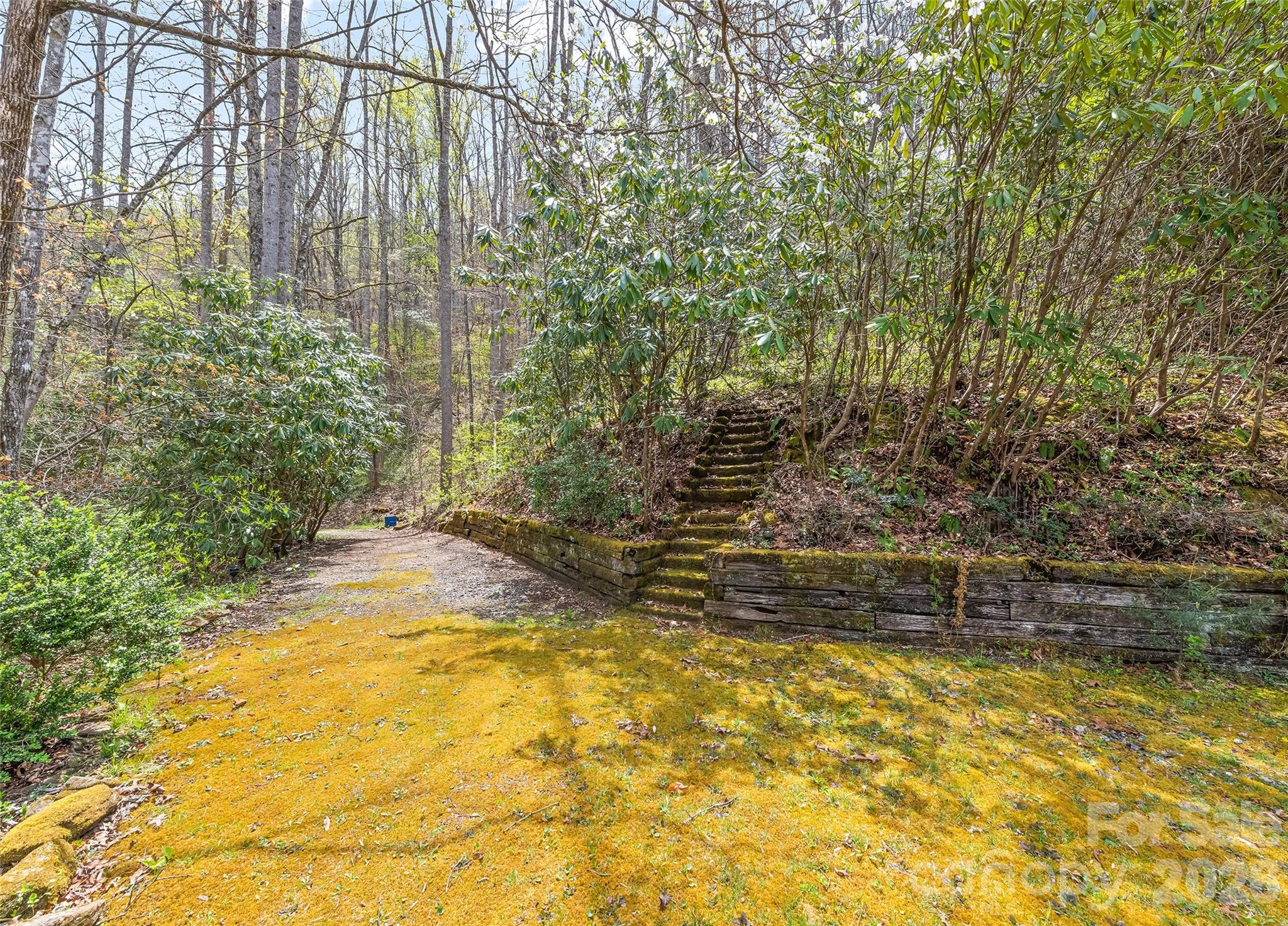 4370112 Property Photo 31