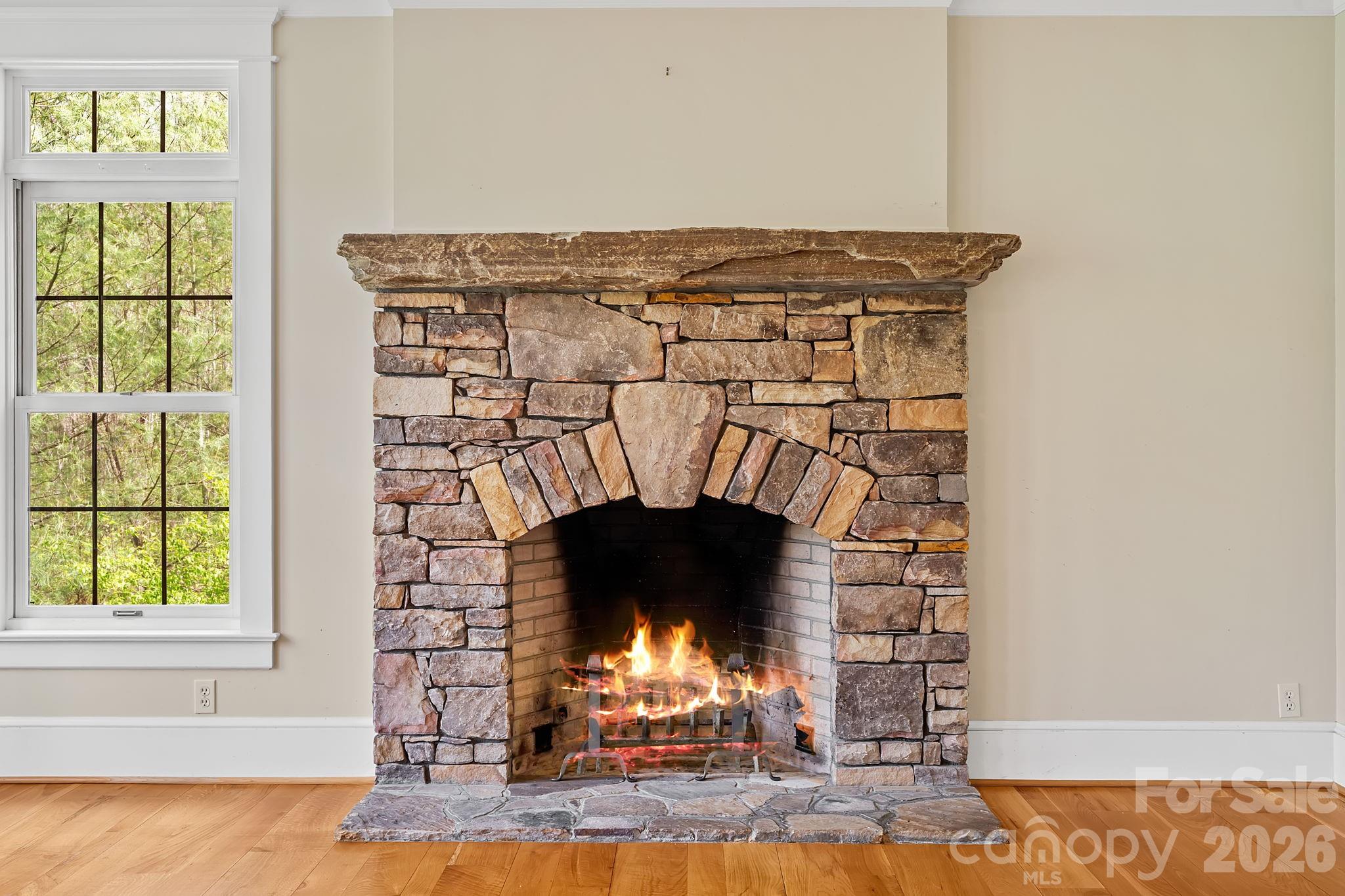 22 Lone Coyote Ridge Property Photo 8