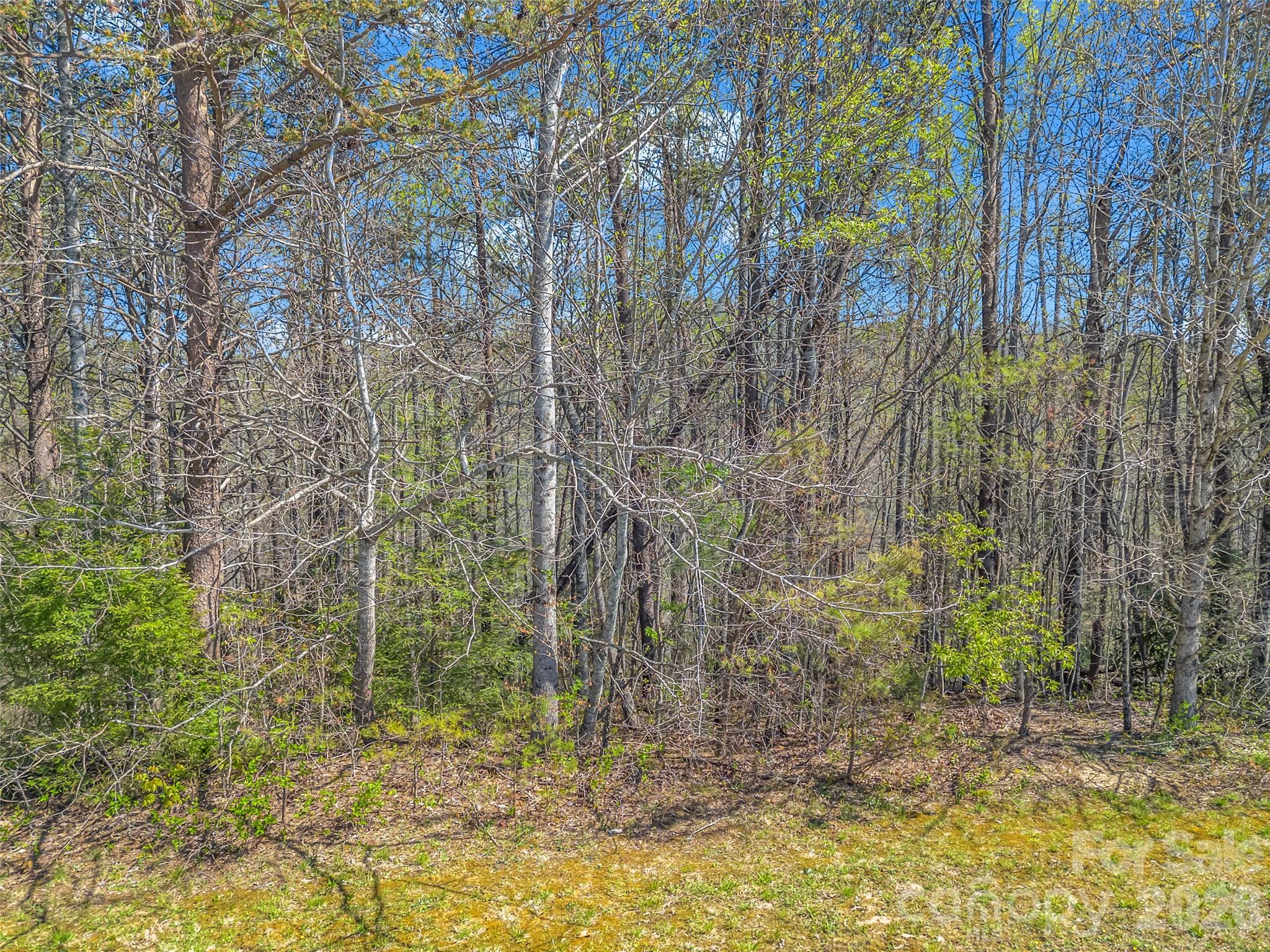 83 Sunny Morning Court Property Photo 29