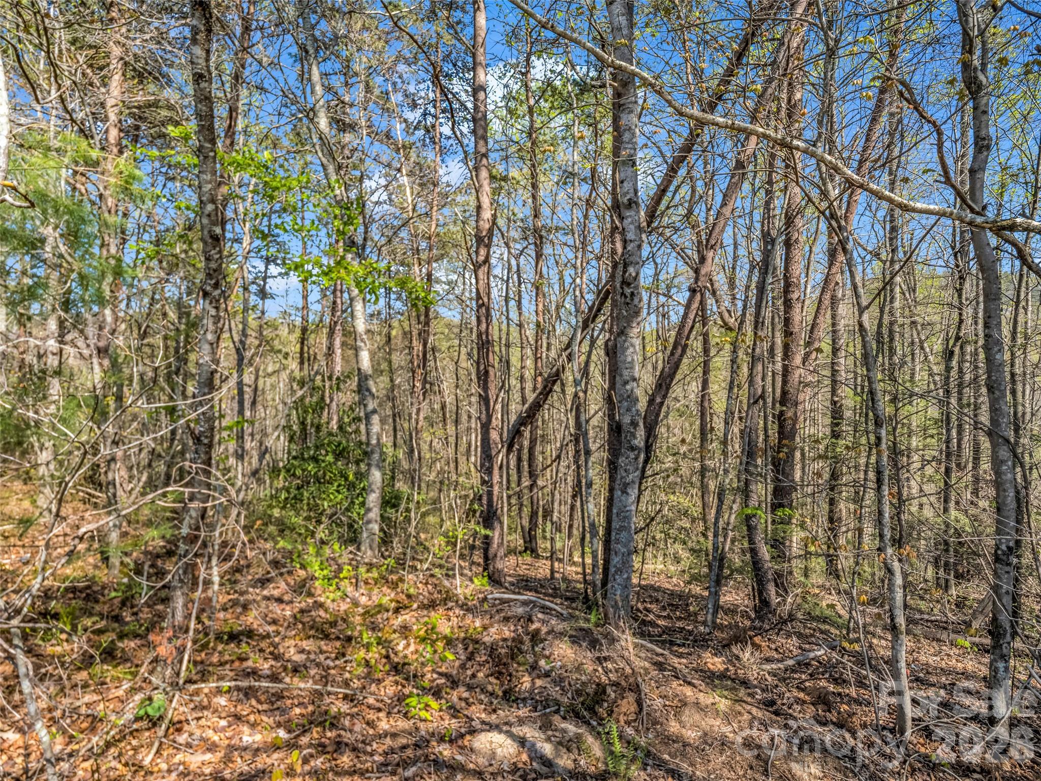 83 Sunny Morning Court Property Photo 31