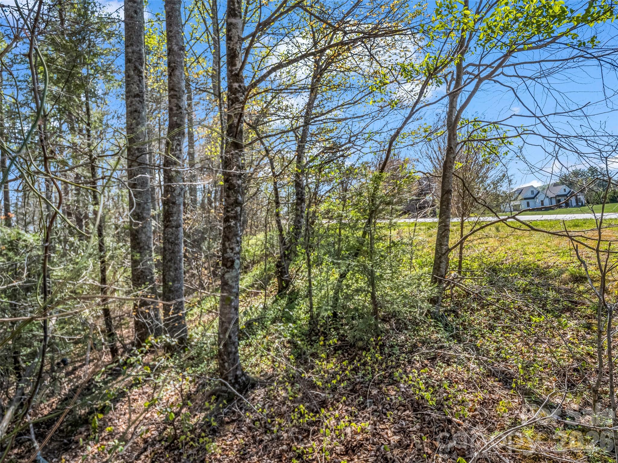 83 Sunny Morning Court Property Photo 34
