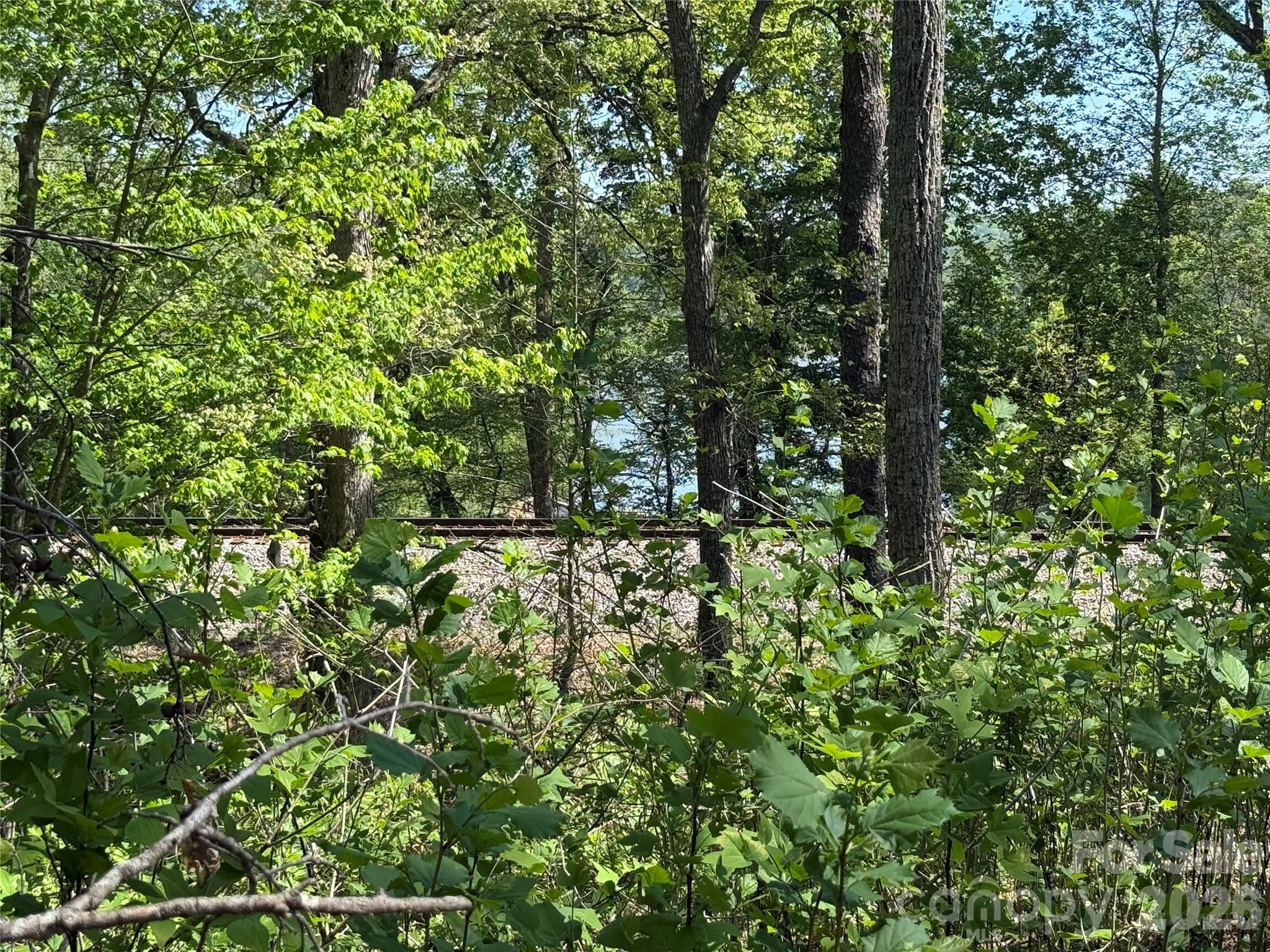 266 Mountain Creek Way Property Photo 2
