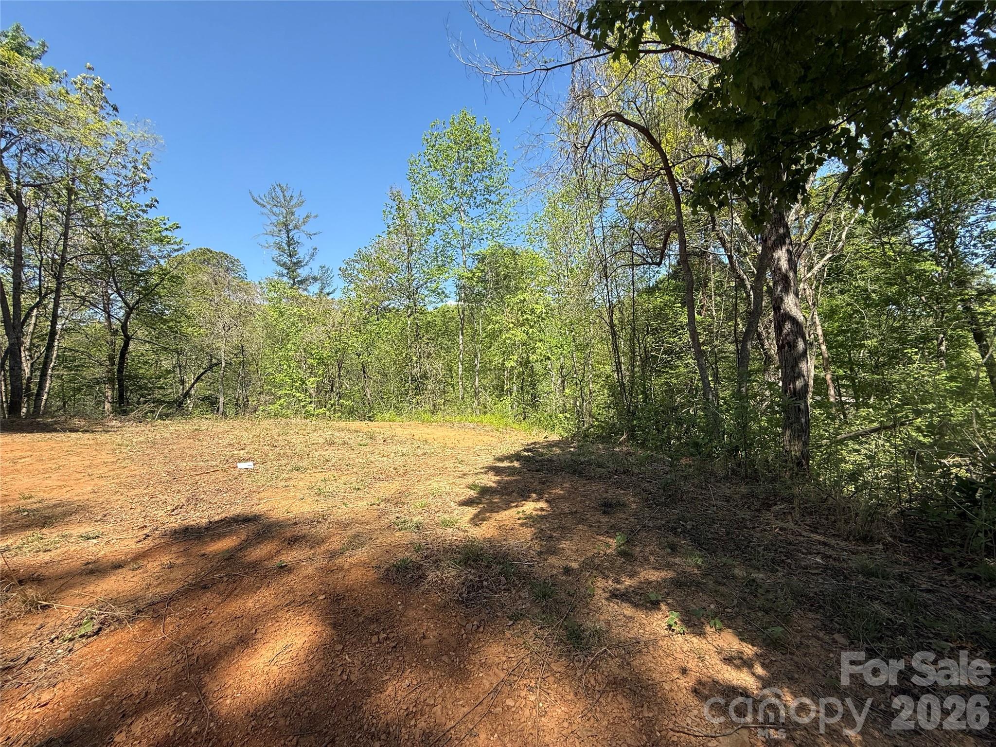 266 Mountain Creek Way Property Photo 5