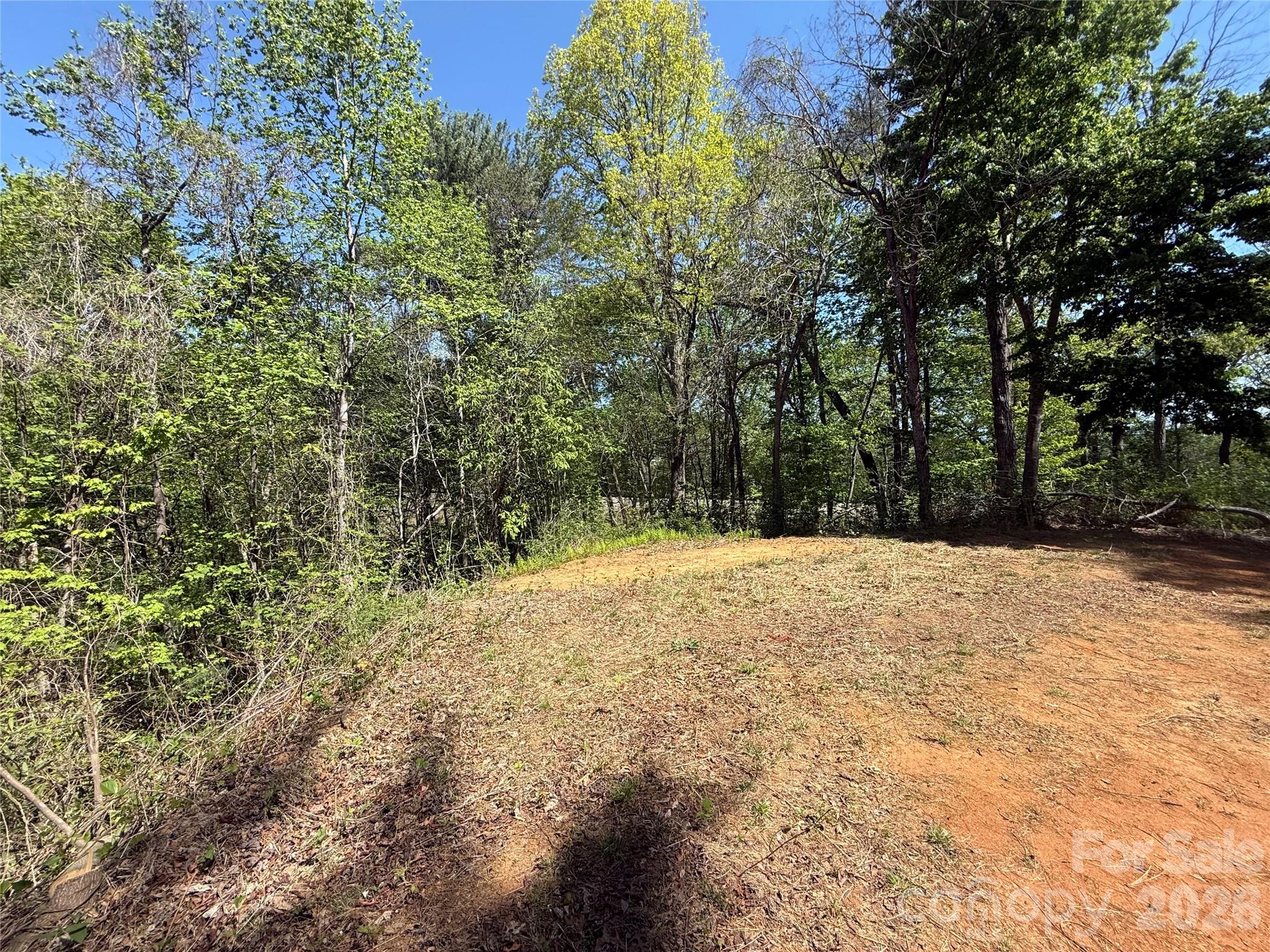 266 Mountain Creek Way Property Photo 6