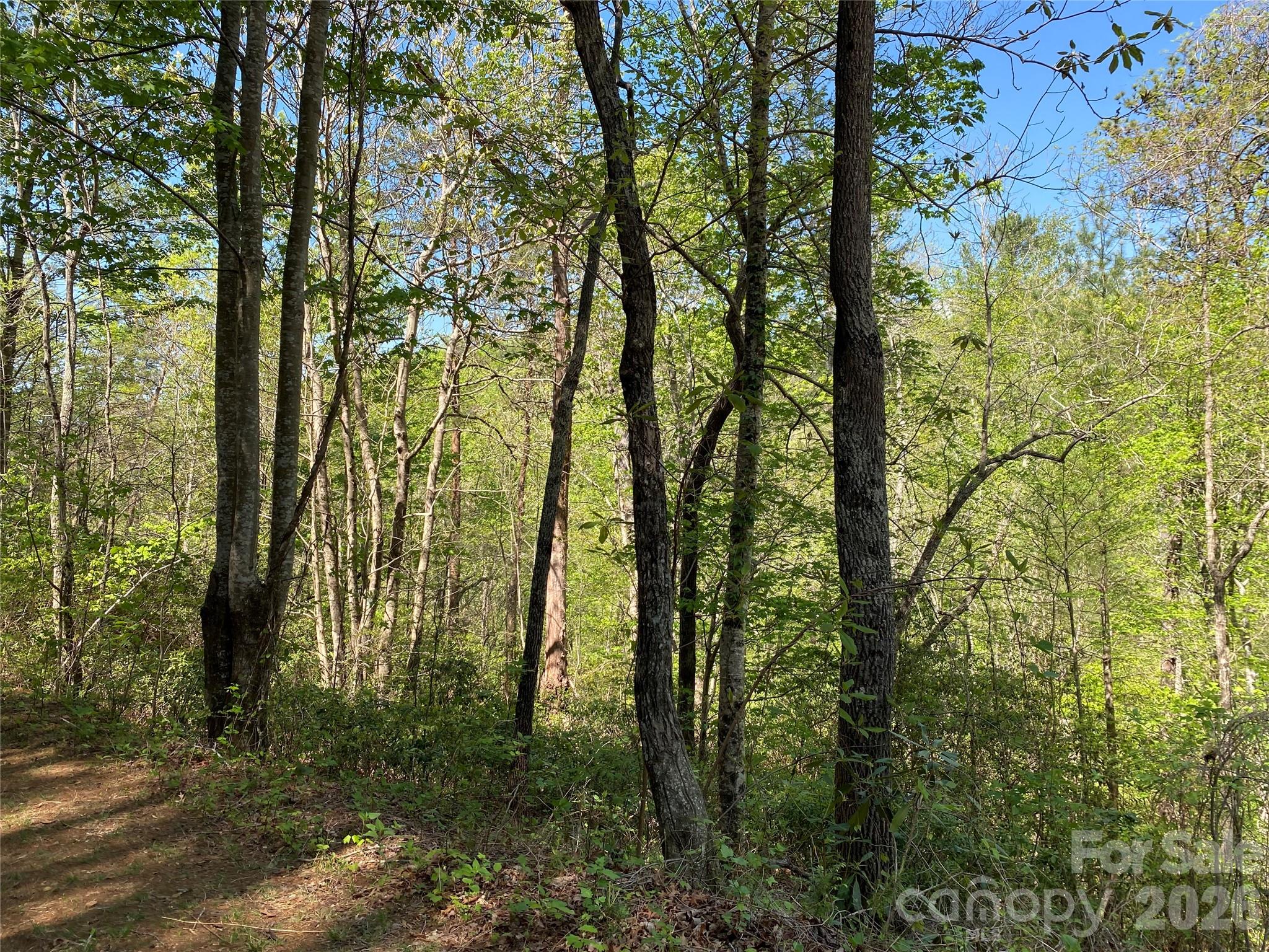 266 Mountain Creek Way Property Photo 7