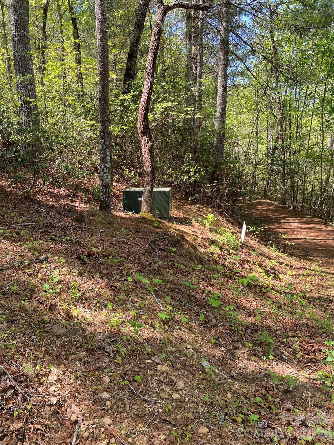 266 Mountain Creek Way Property Photo 8
