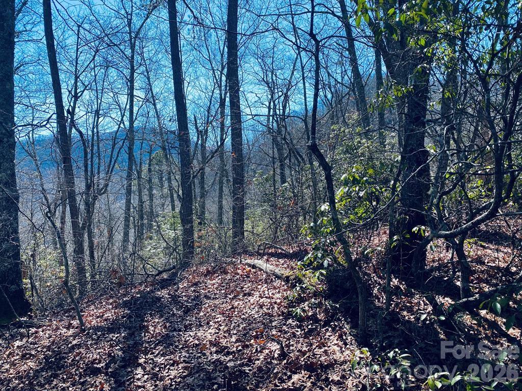 Lot 26 Red Hawk Bluff Property Photo 5