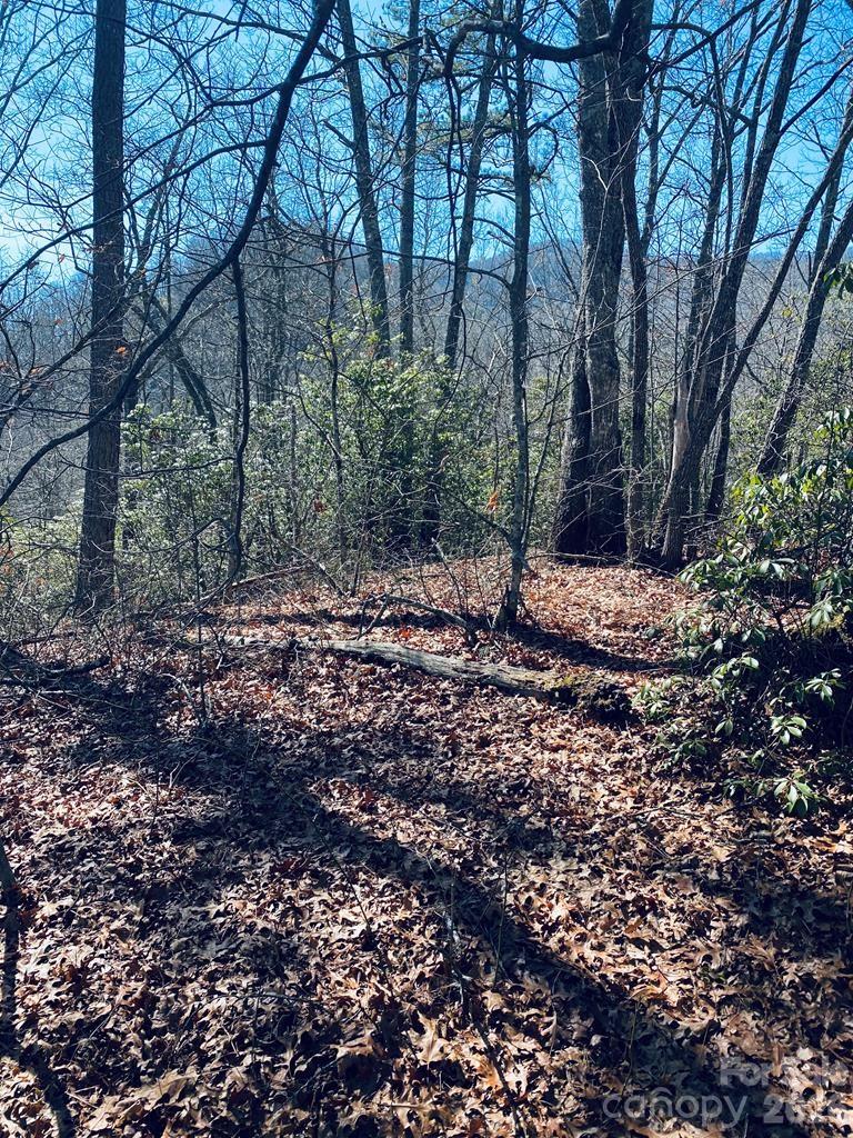 Lot 26 Red Hawk Bluff Property Photo 6