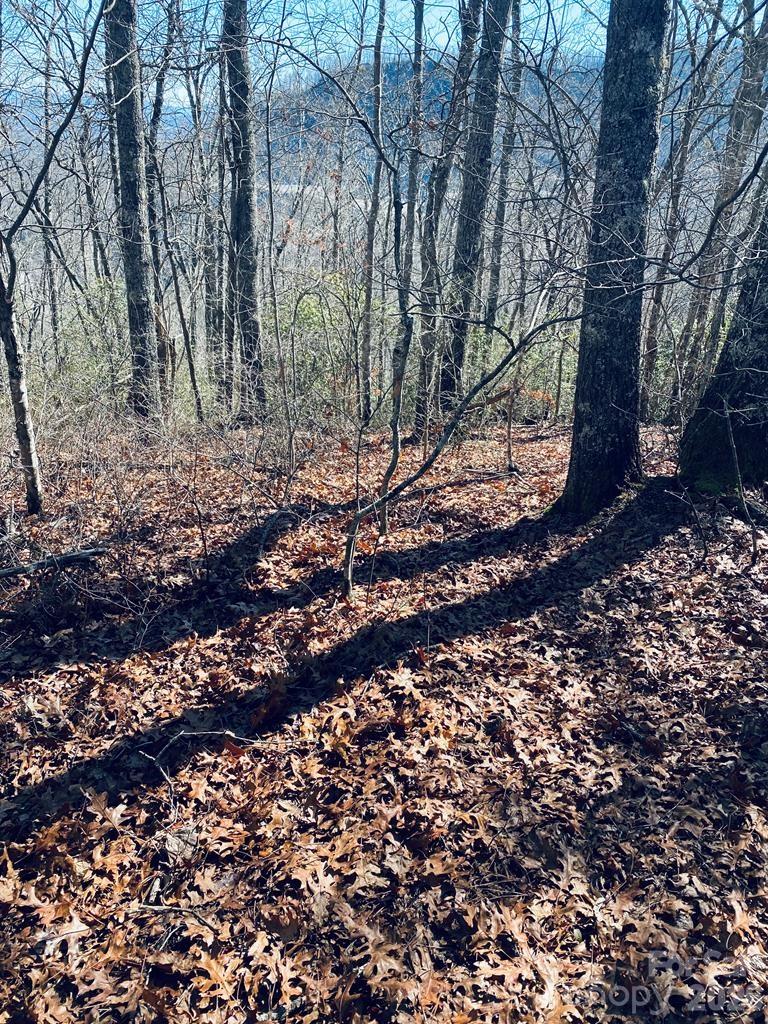 Lot 26 Red Hawk Bluff Property Photo 7