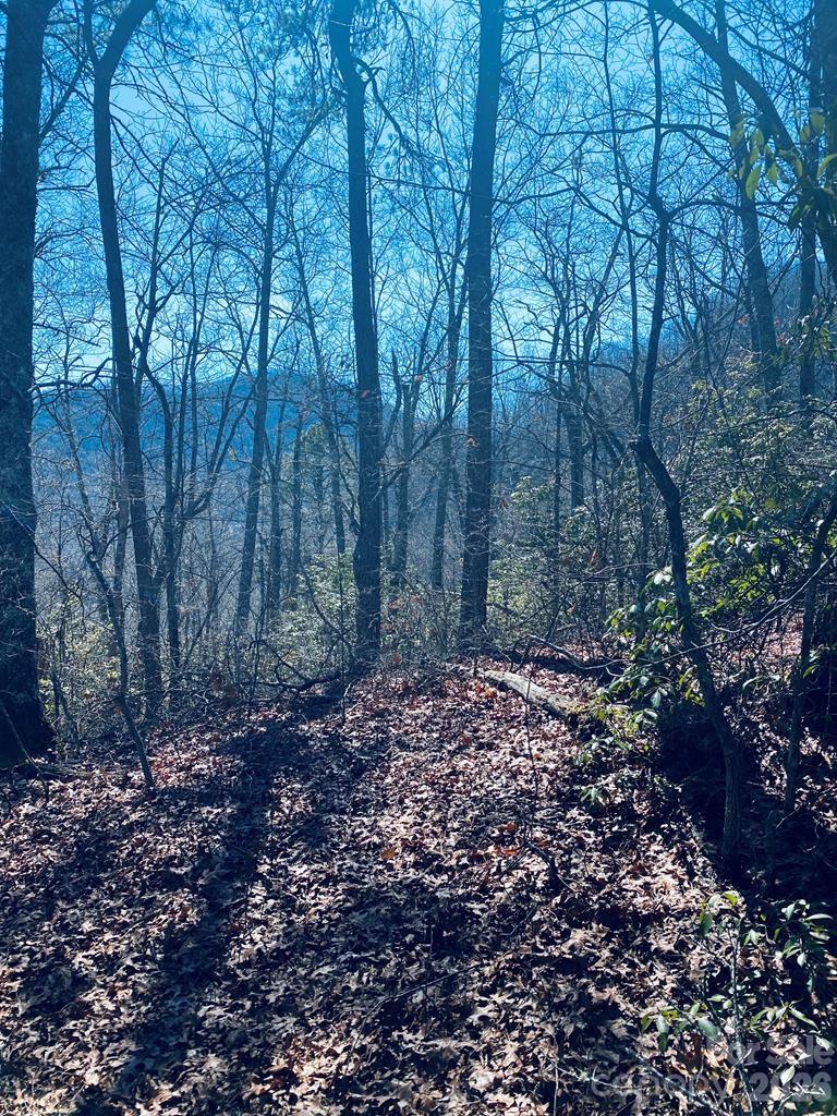 Lot 26 Red Hawk Bluff Property Photo 8