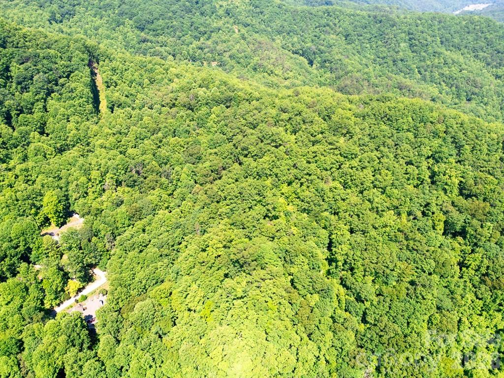 Lot 26 Red Hawk Bluff Property Photo 9