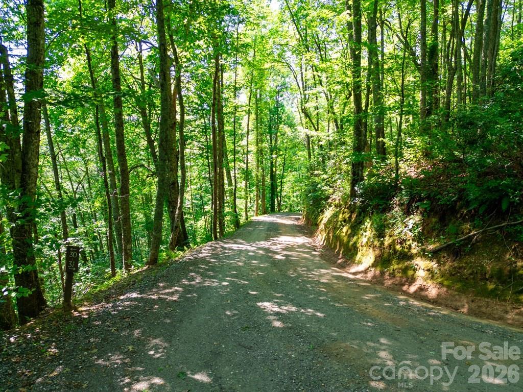 Lot 26 Red Hawk Bluff Property Photo 11