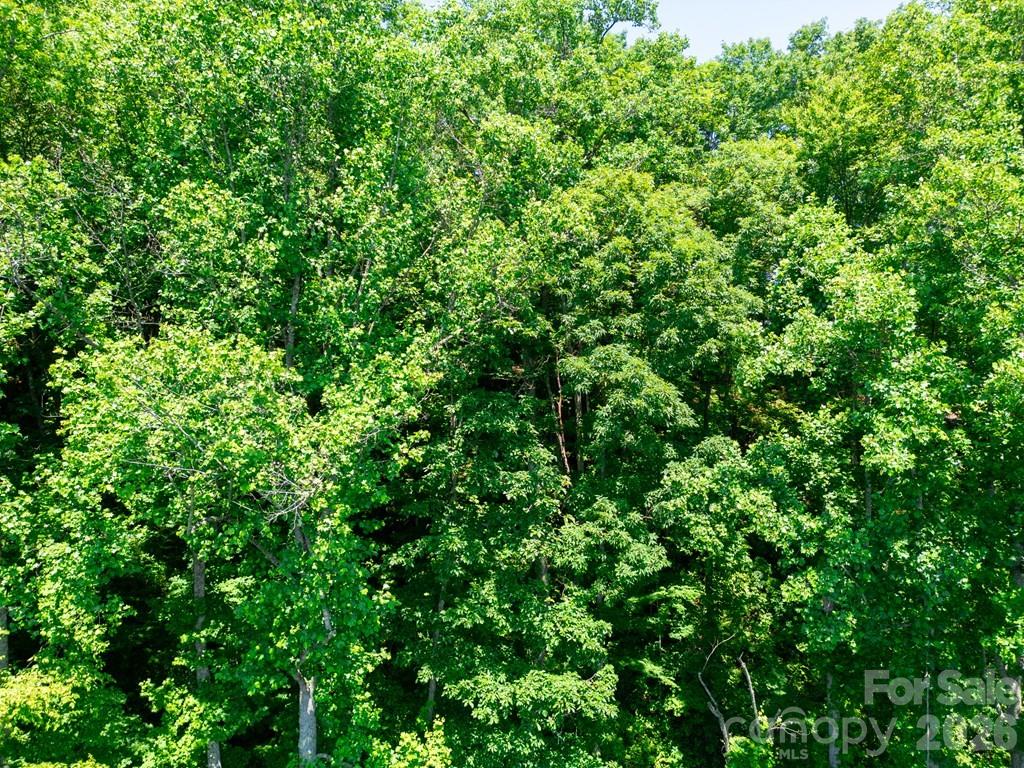 Lot 26 Red Hawk Bluff Property Photo 12