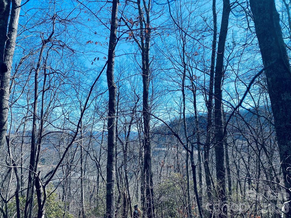 Lot 26 Red Hawk Bluff Property Photo 15