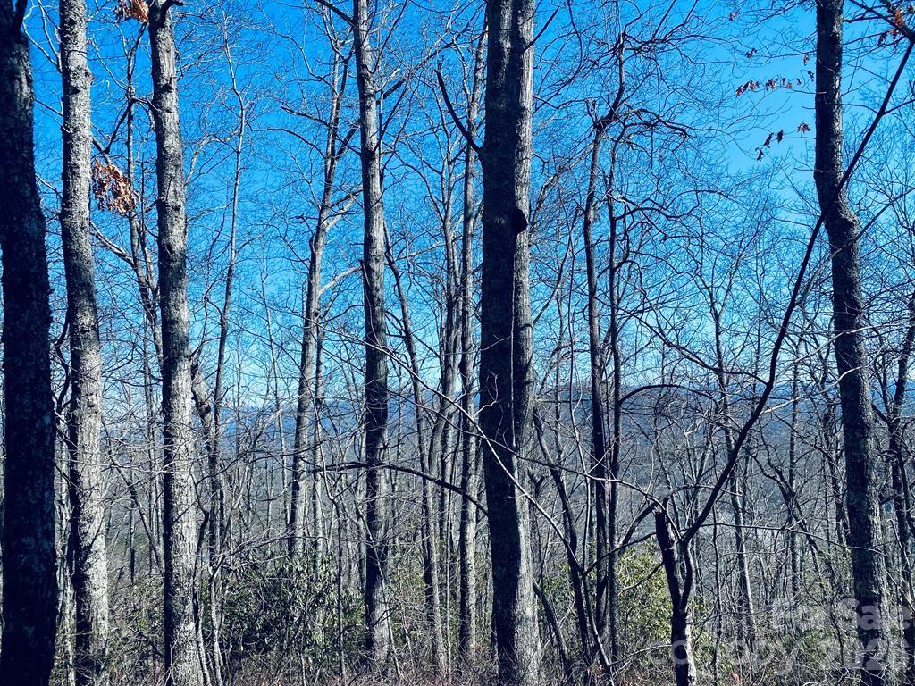 Lot 26 Red Hawk Bluff Property Photo 17