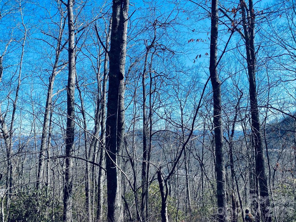 Lot 26 Red Hawk Bluff Property Photo 18